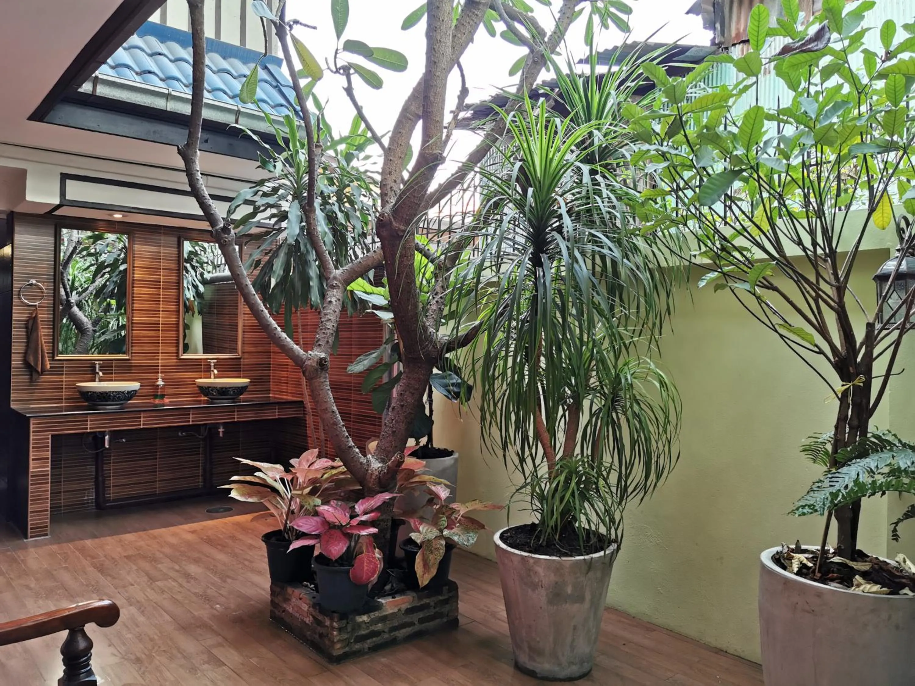 Garden view in TAVEE Guesthouse