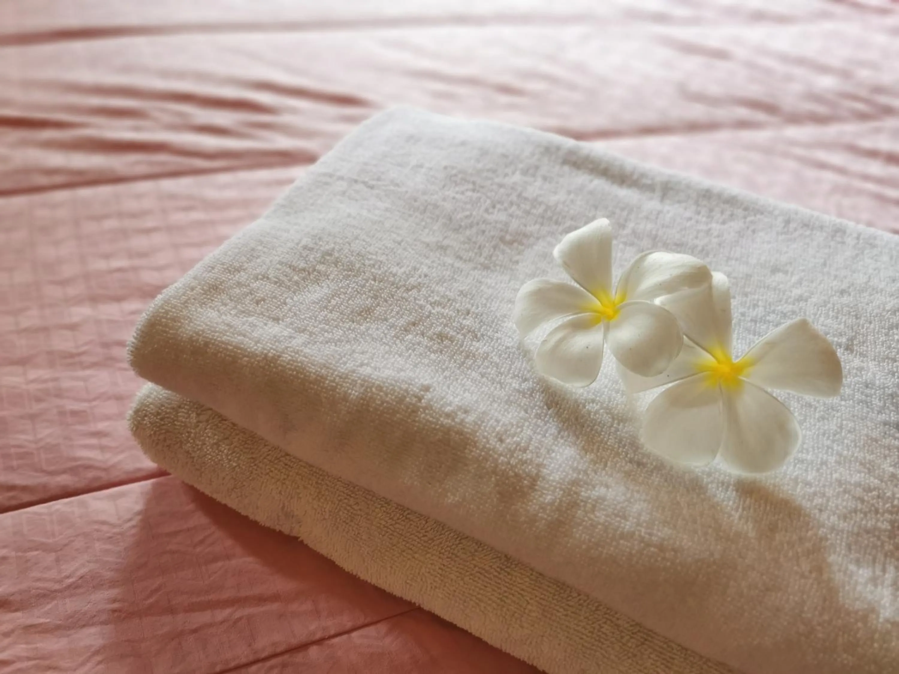 towels in TAVEE Guesthouse
