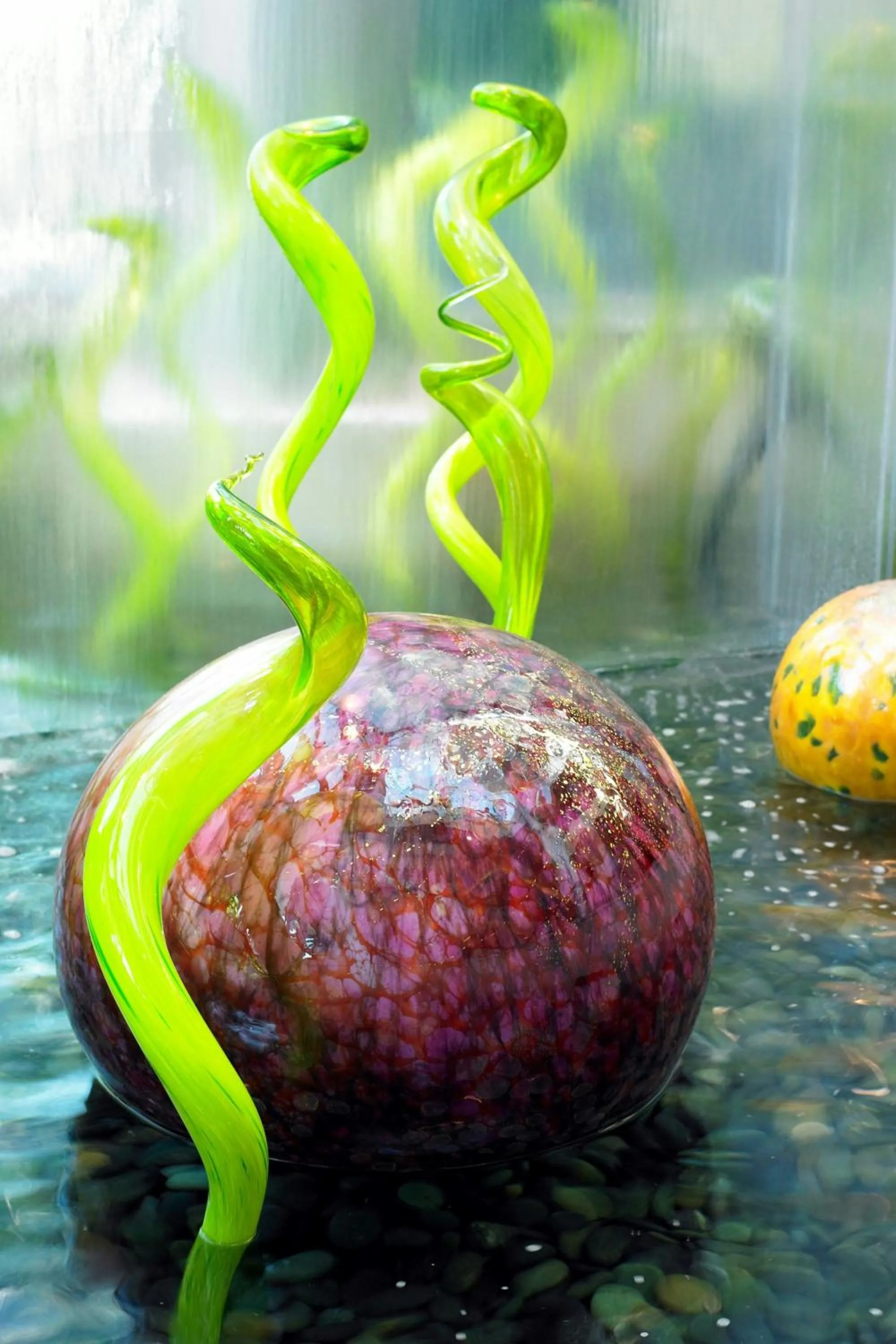 Other in The Westin Bellevue