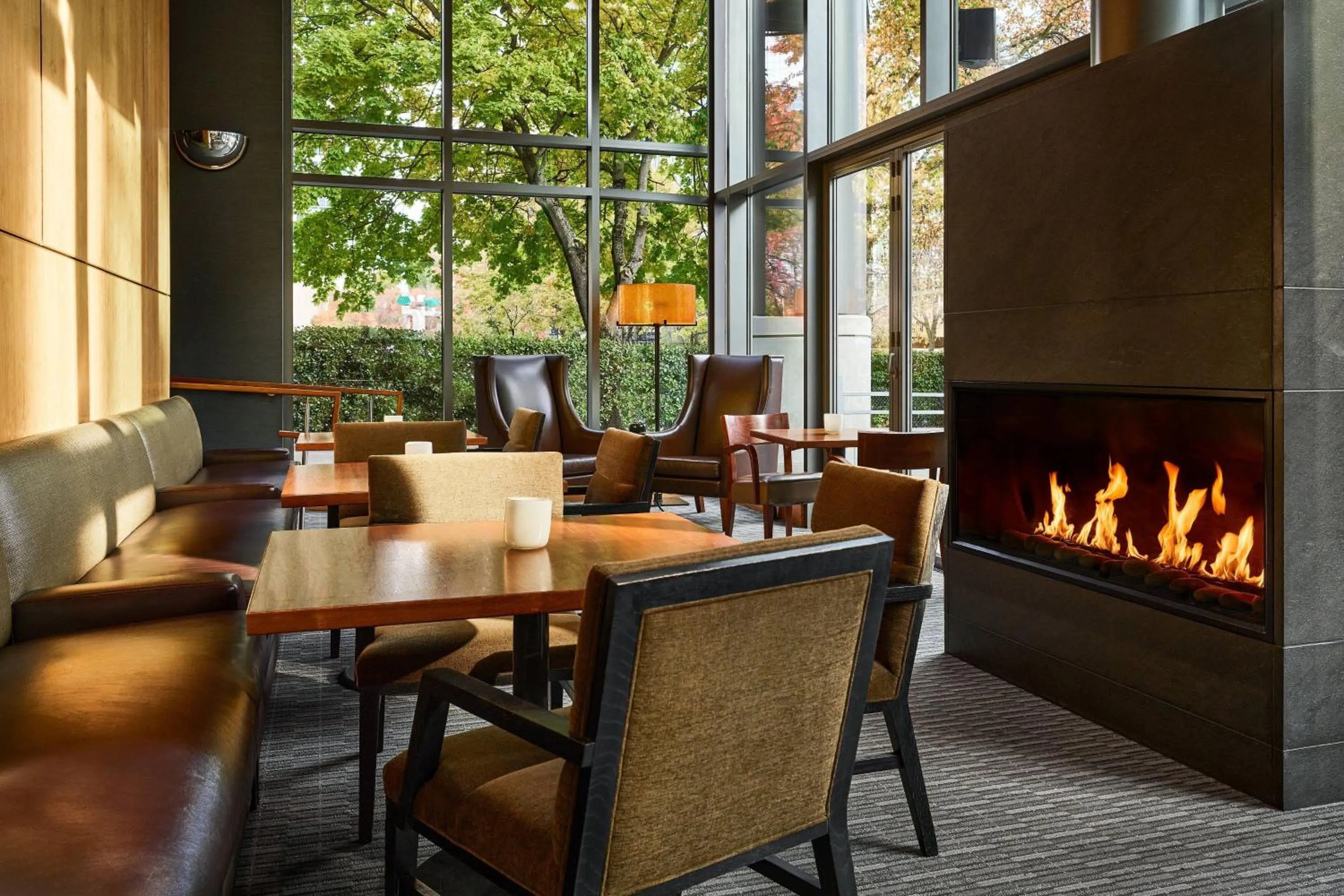 Lounge or bar in The Westin Bellevue