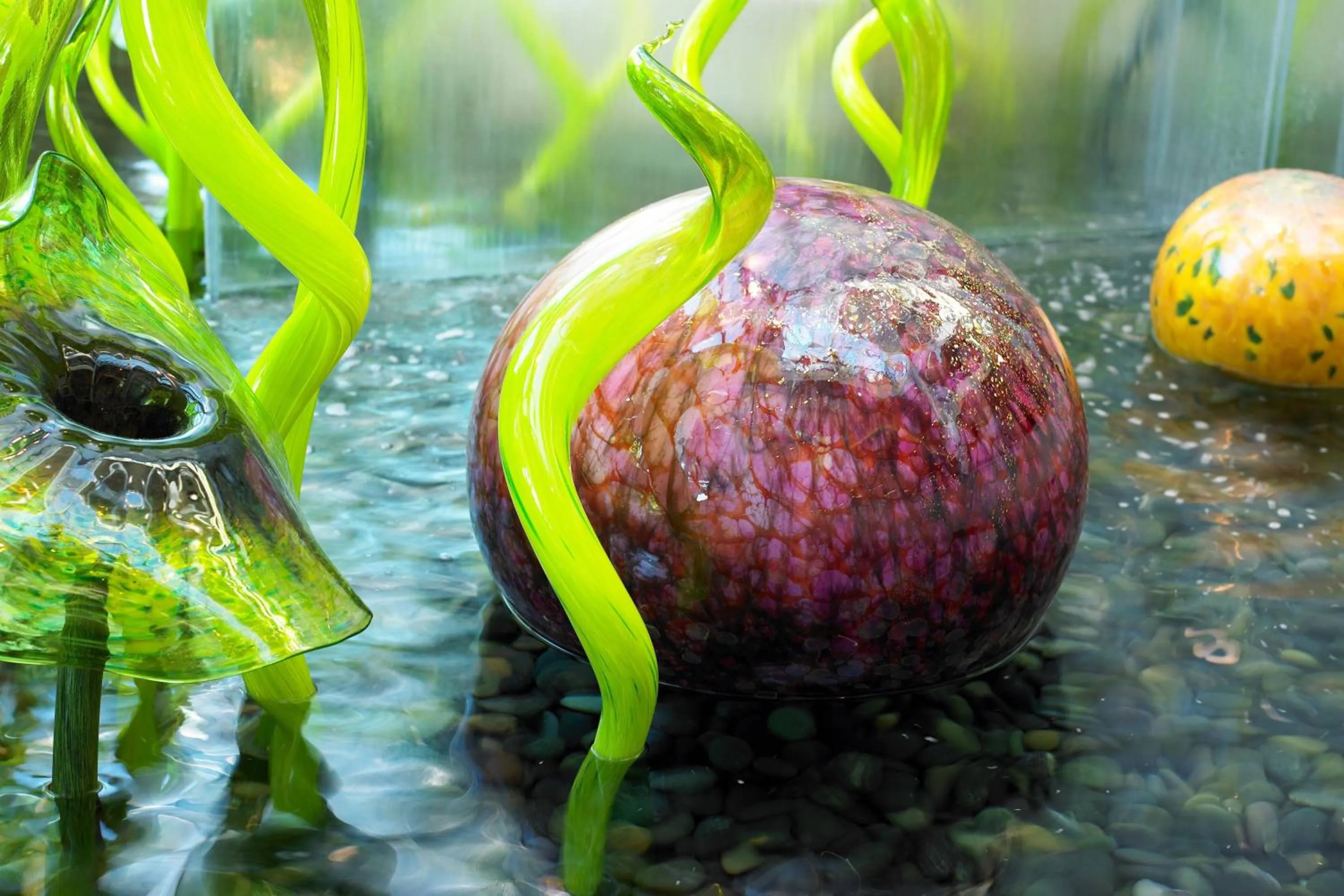 Other in The Westin Bellevue