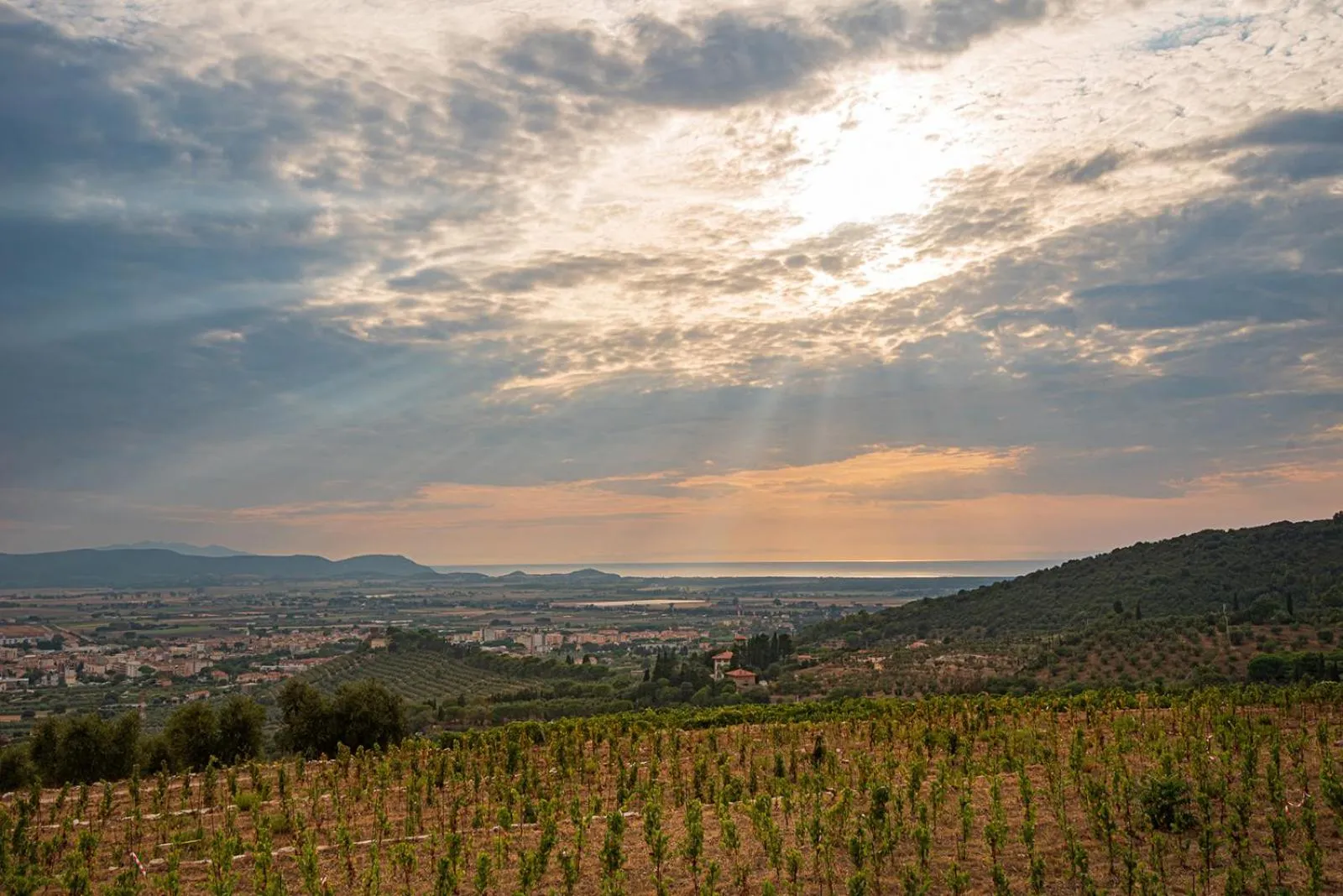 Bird's eye view in Castello Bonaria Wine & Spa Resort