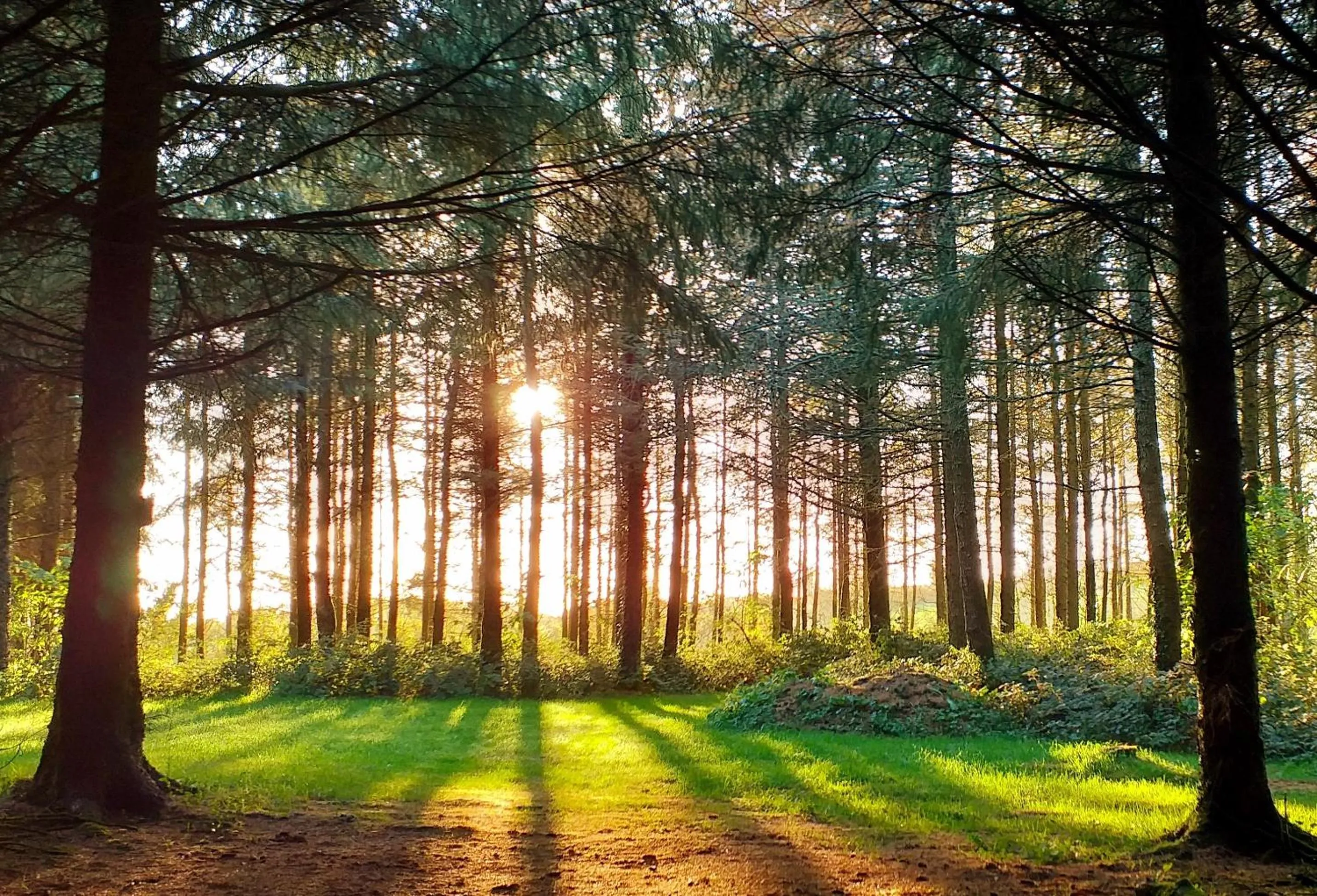 Natural landscape in Lobhill Farmhouse Bed and Breakfast and Self Catering Accommodation