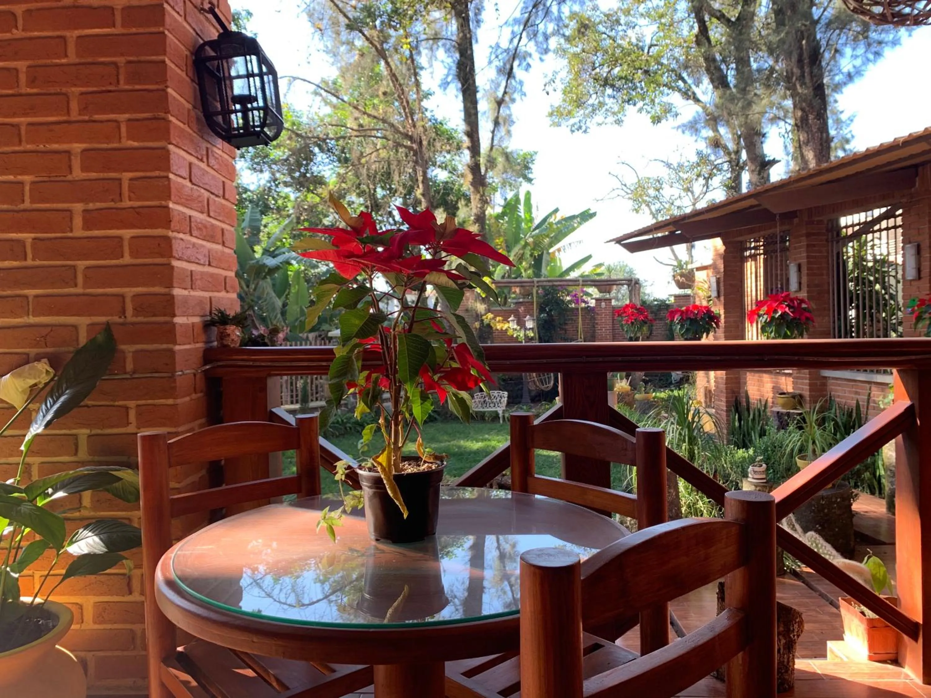 Balcony/Terrace in Quinta Maria Bonita Hotel Boutique