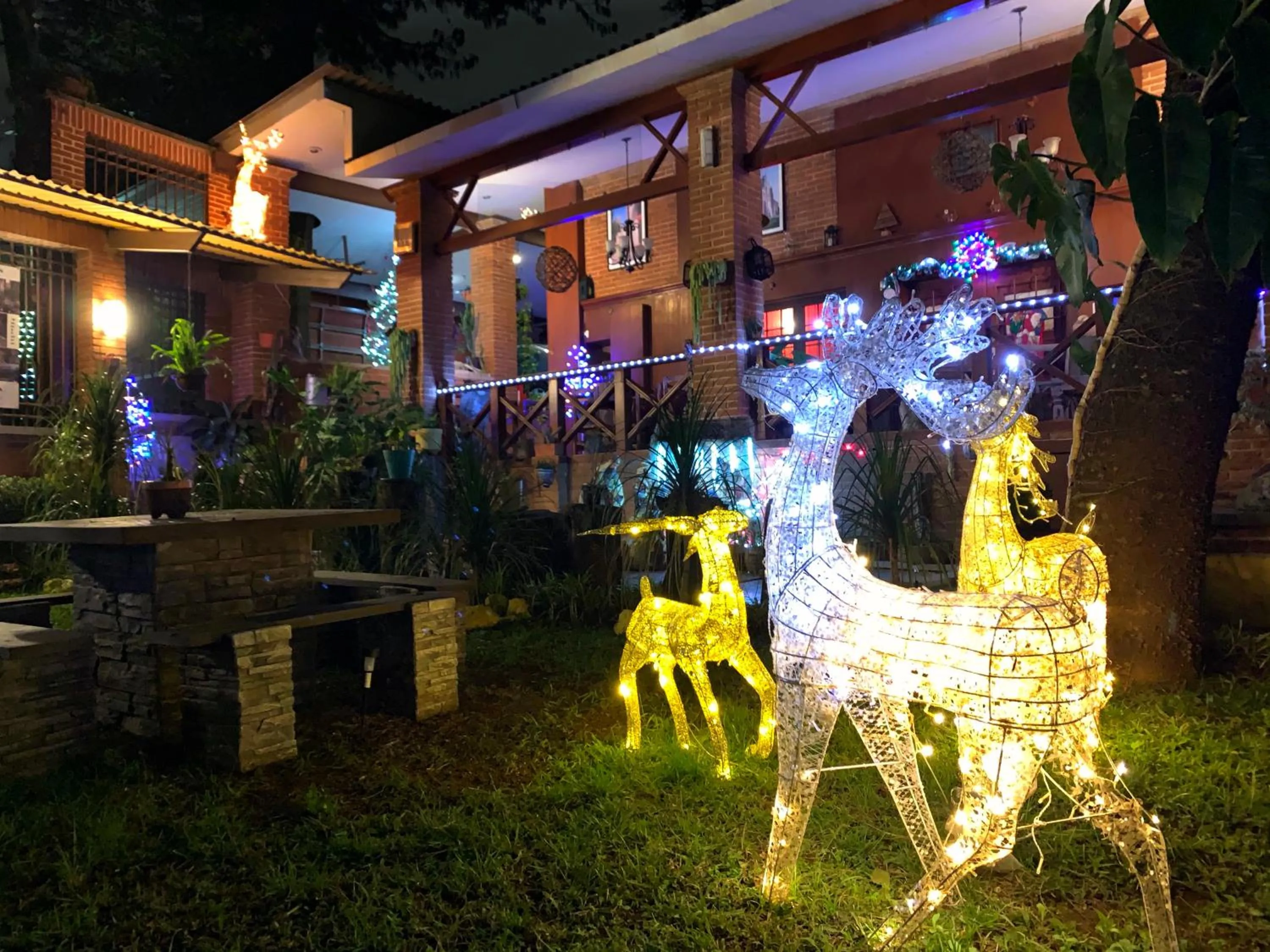 Garden in Quinta Maria Bonita Hotel Boutique