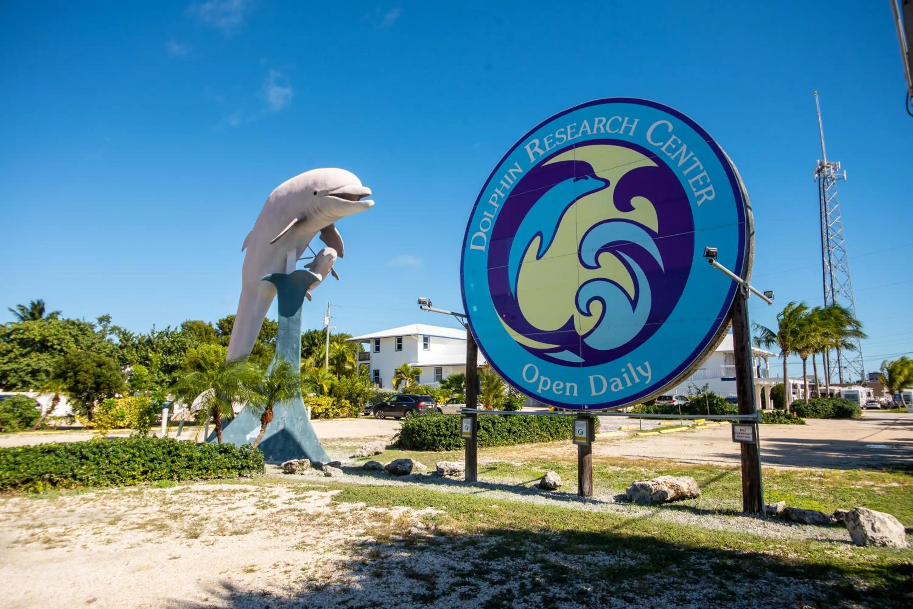 Activities in Banana Bay Resort & Marina