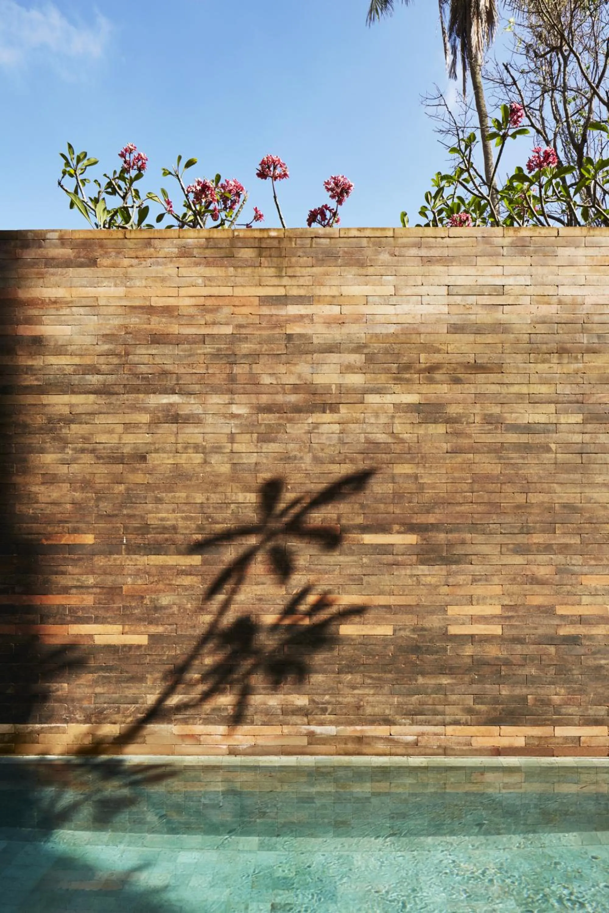 Pool view in Desa Potato Head Bali