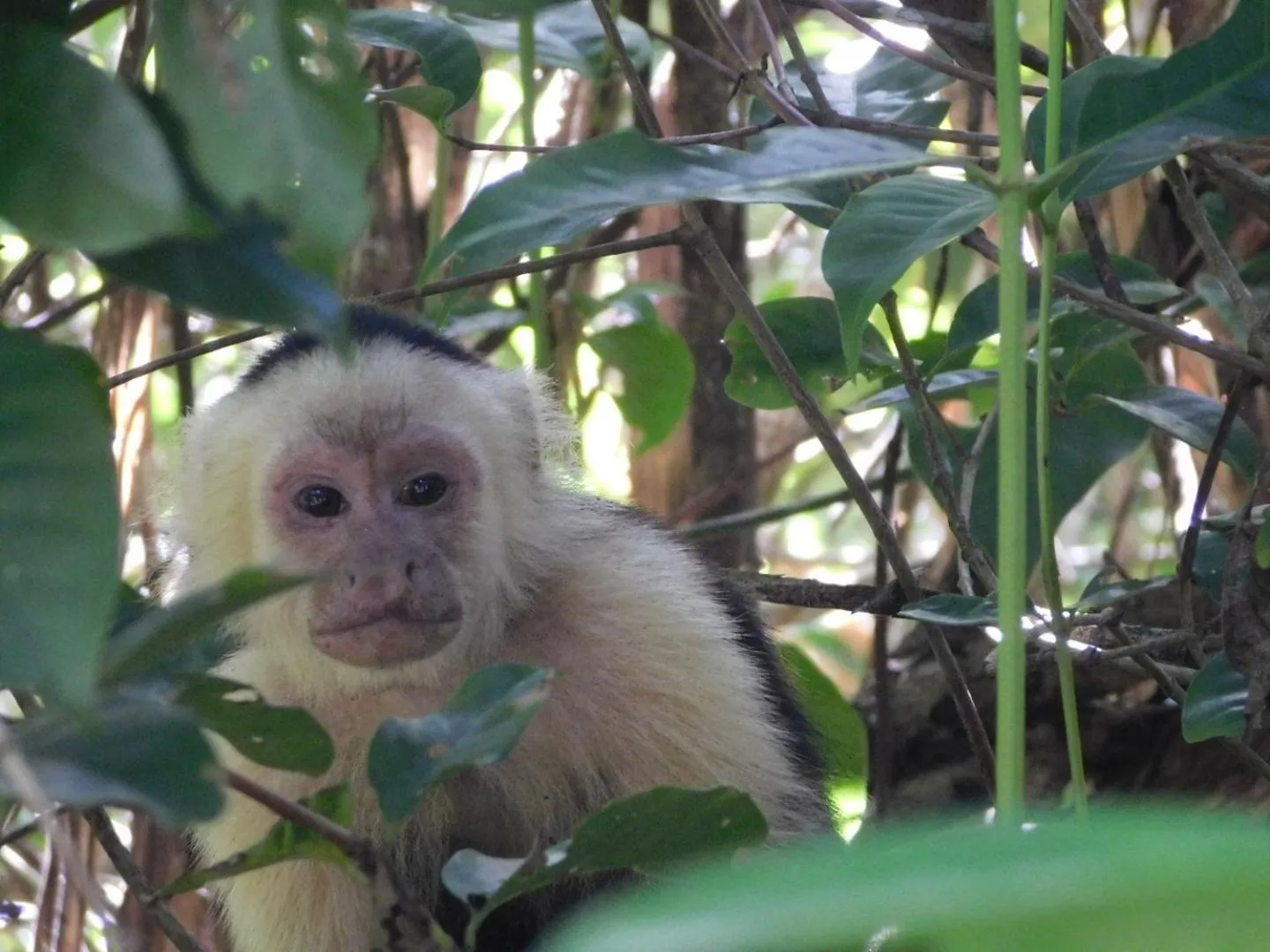 Natural landscape in Guayabo Lodge