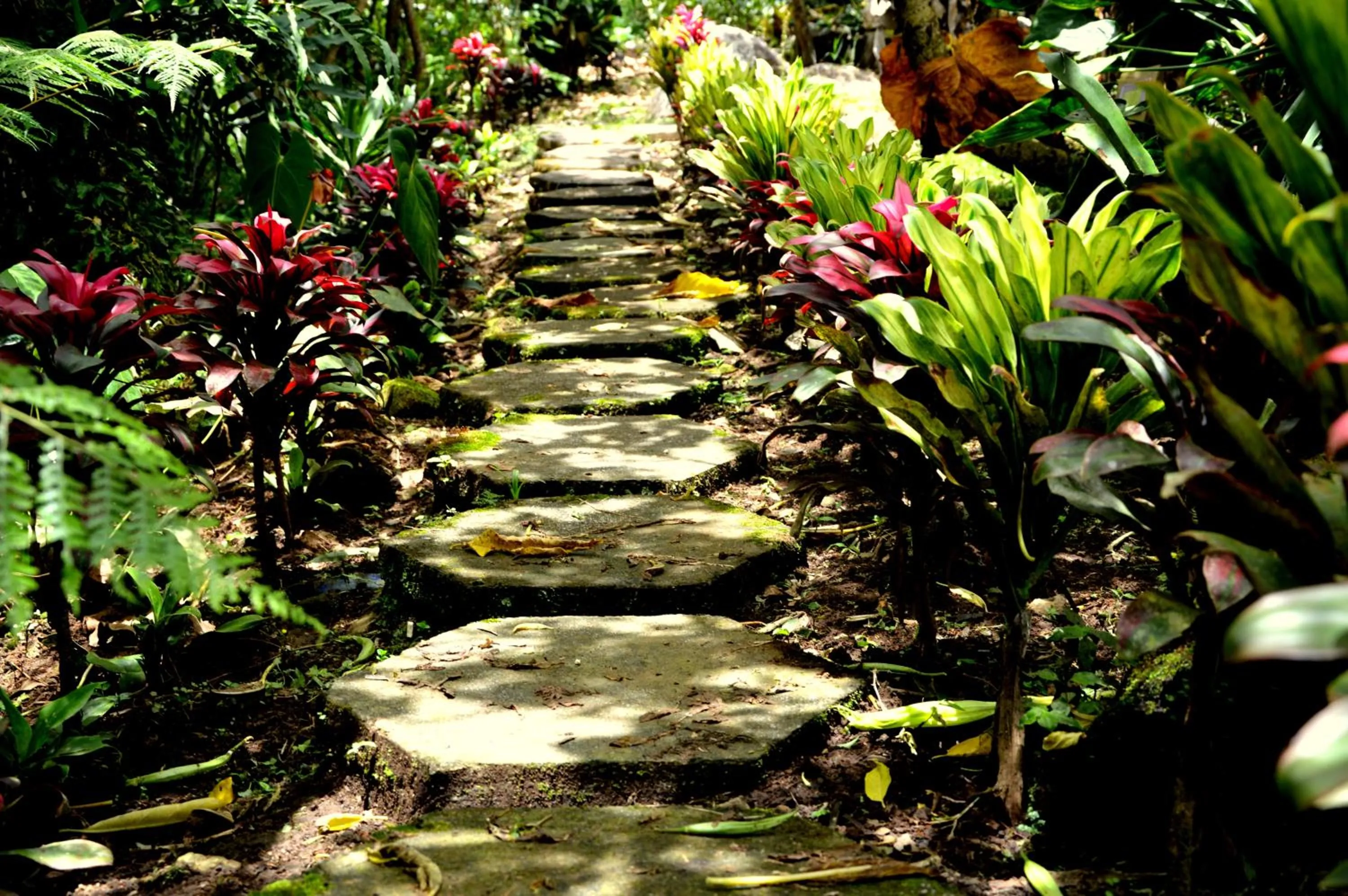 Garden in Guayabo Lodge