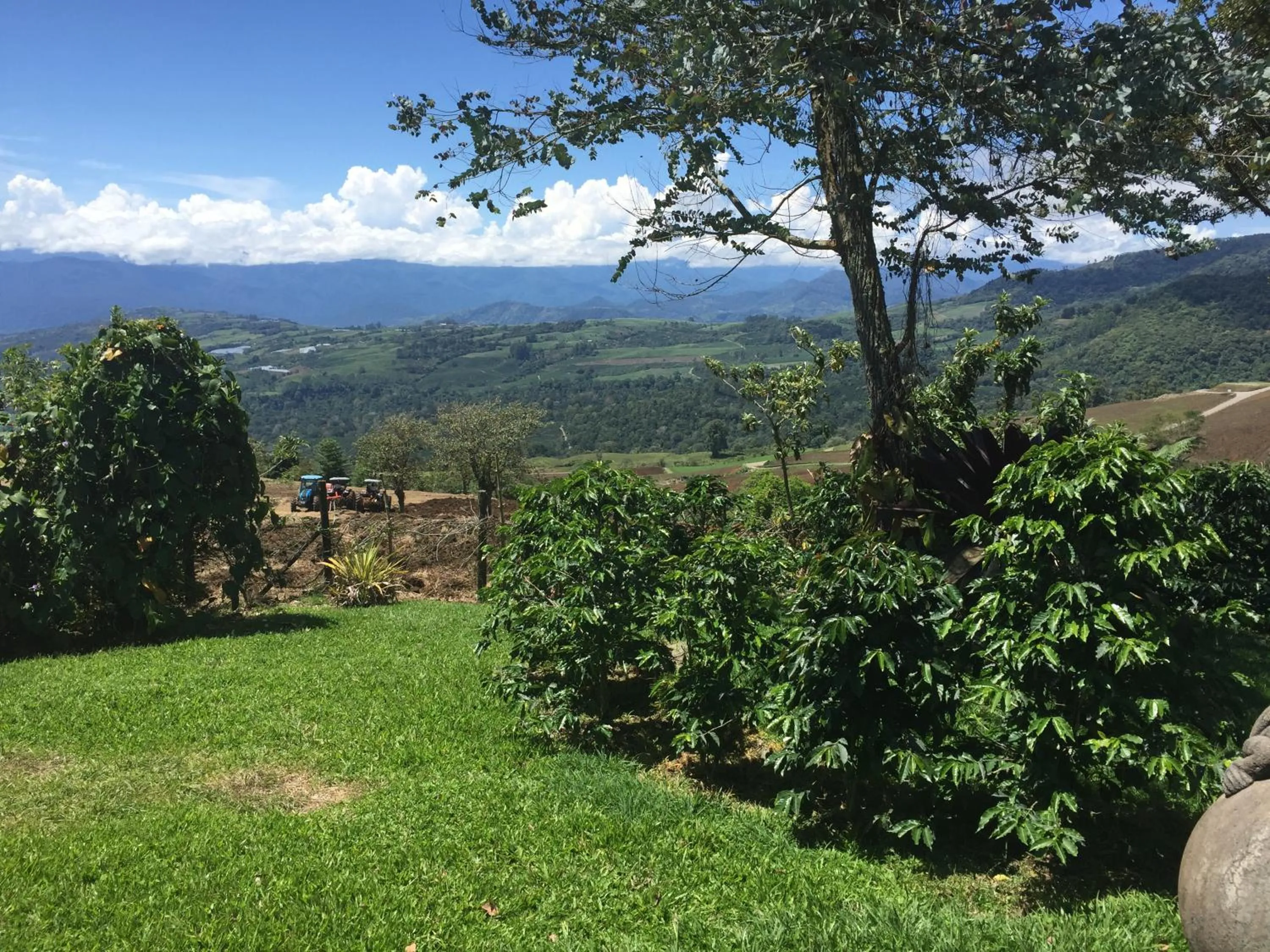 Natural landscape in Guayabo Lodge