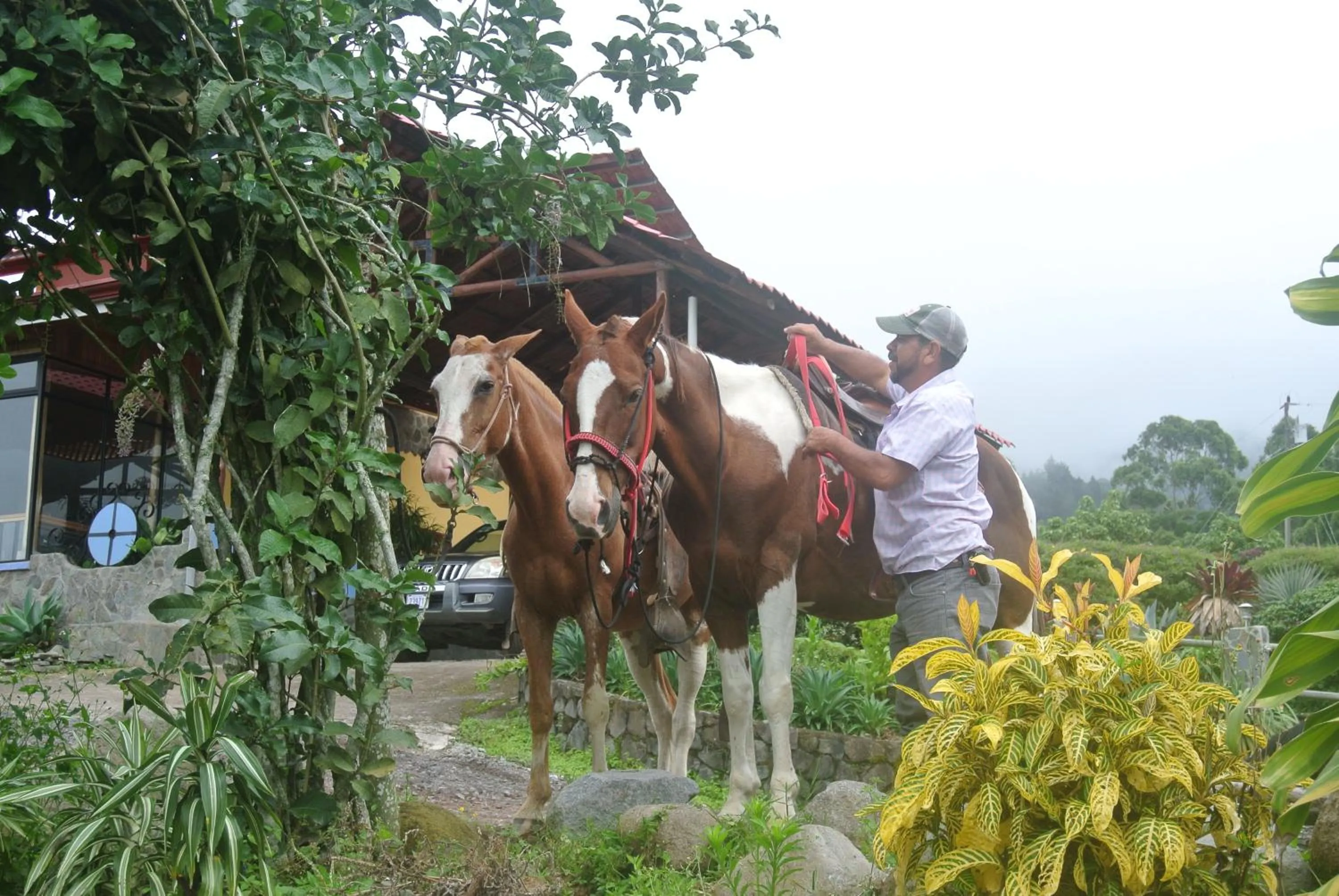 Horse-riding in Guayabo Lodge