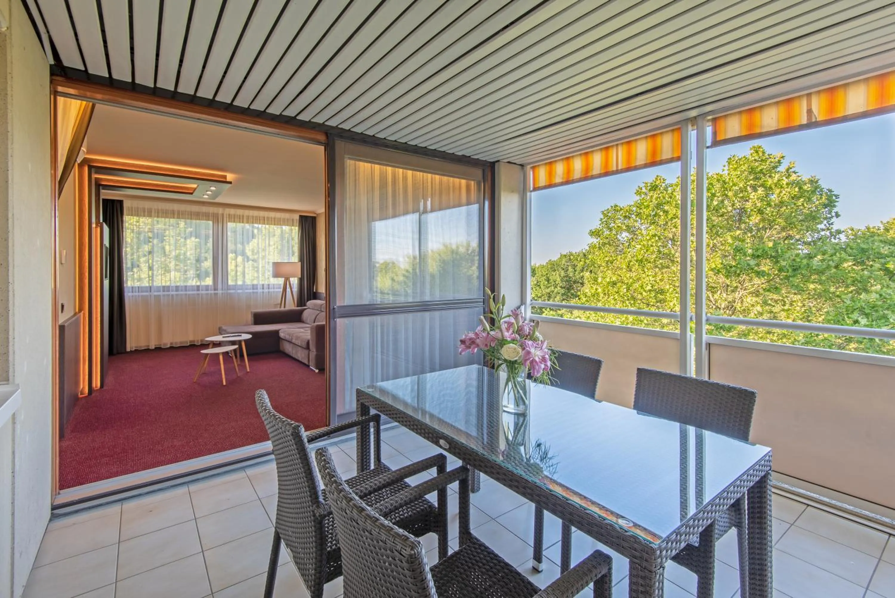 View (from property/room) in Hotel Club Tihany