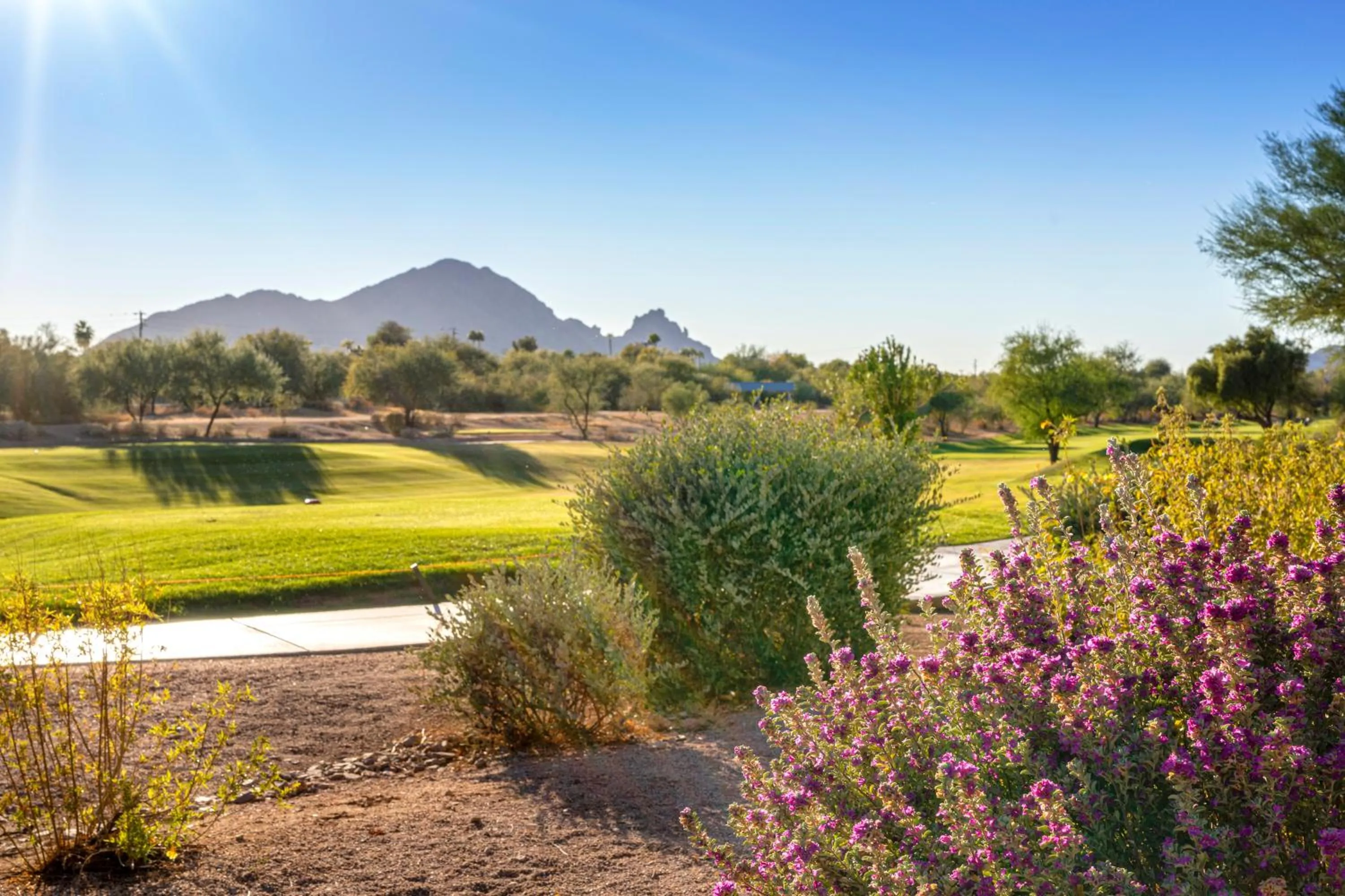 Golfcourse in WorldMark Scottsdale