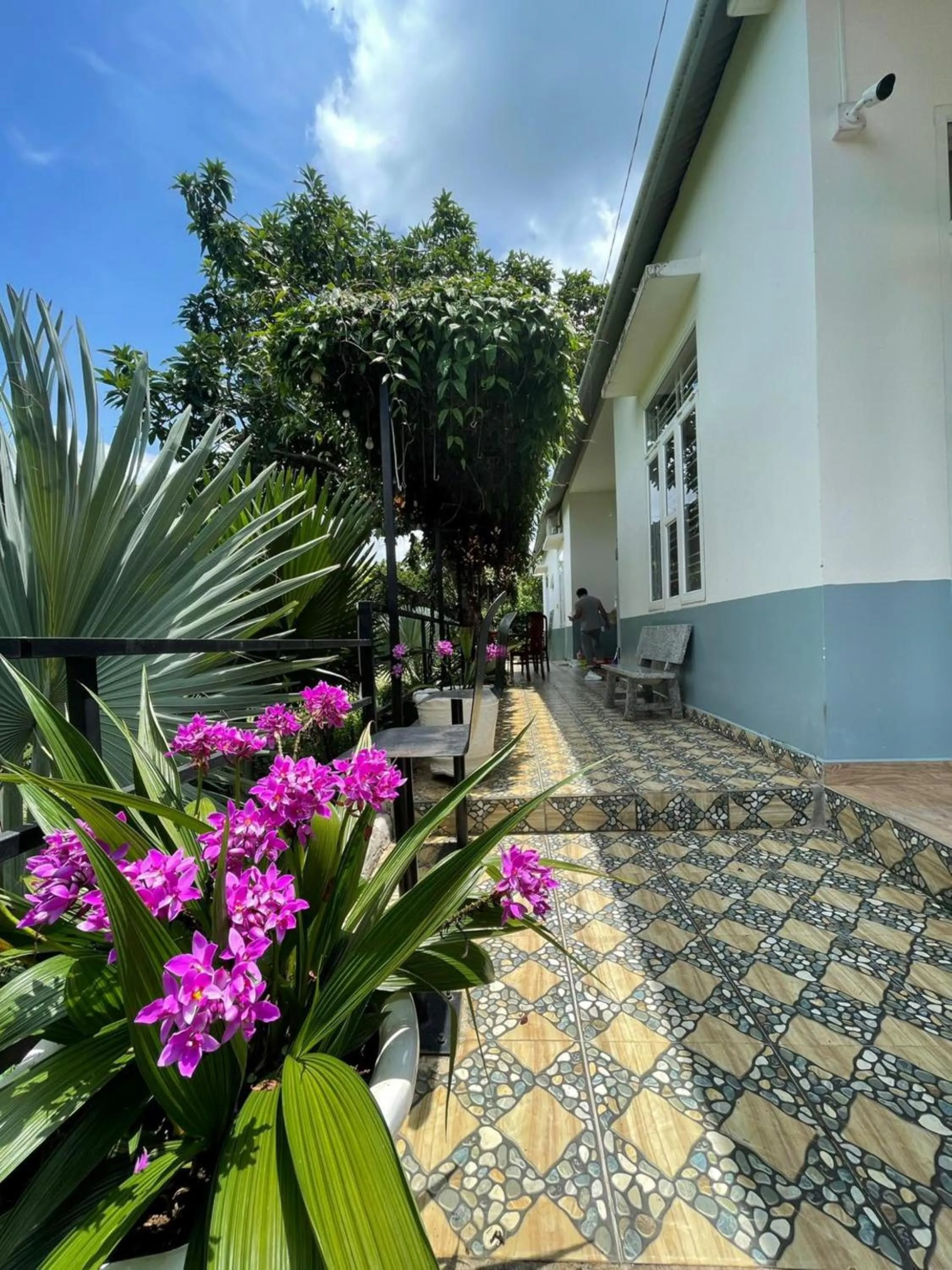 Garden view in An An Homestay Bảo Lộc