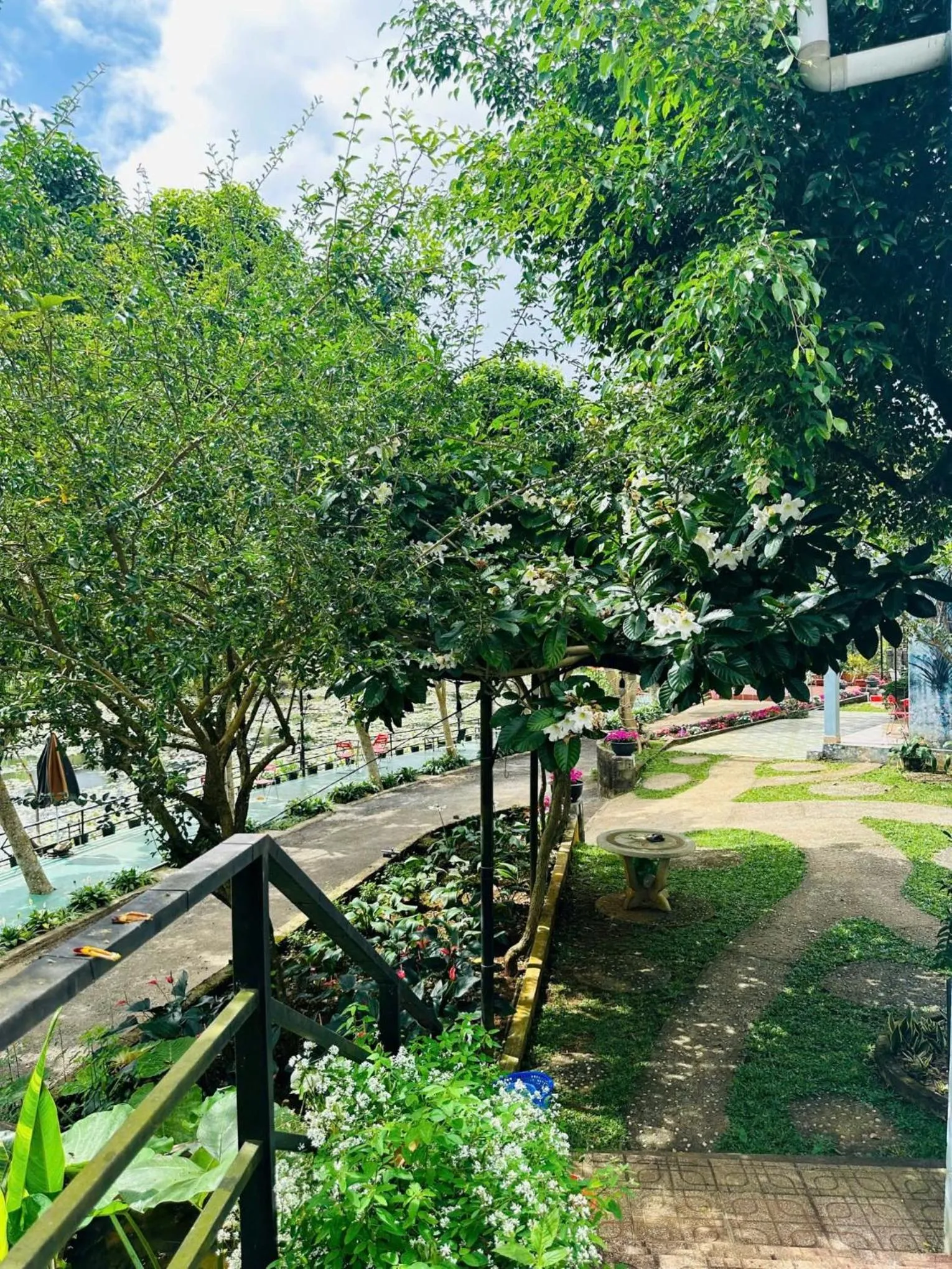 Spring in An An Homestay Bảo Lộc