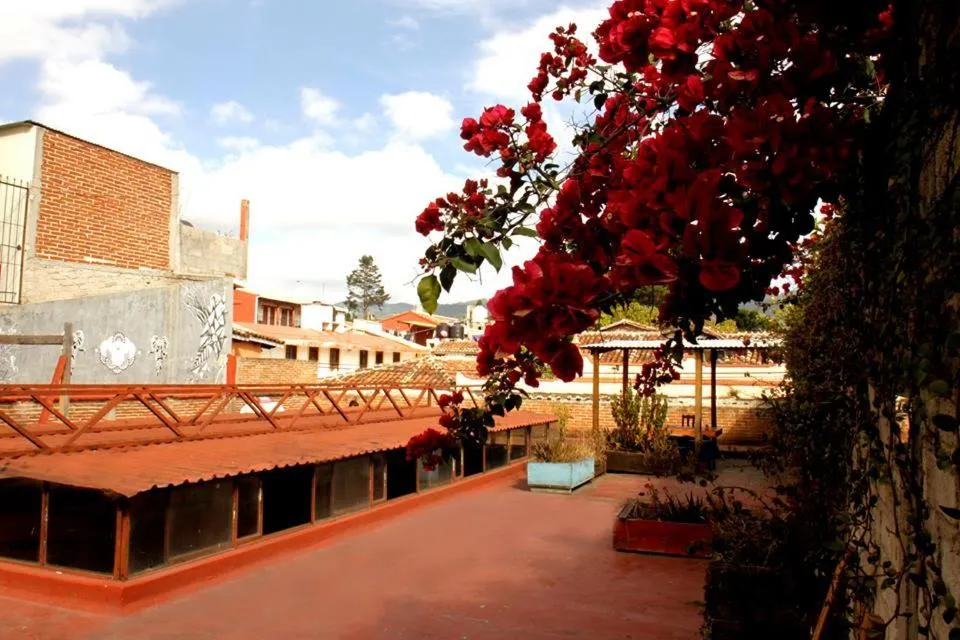 Hostel El Nagual