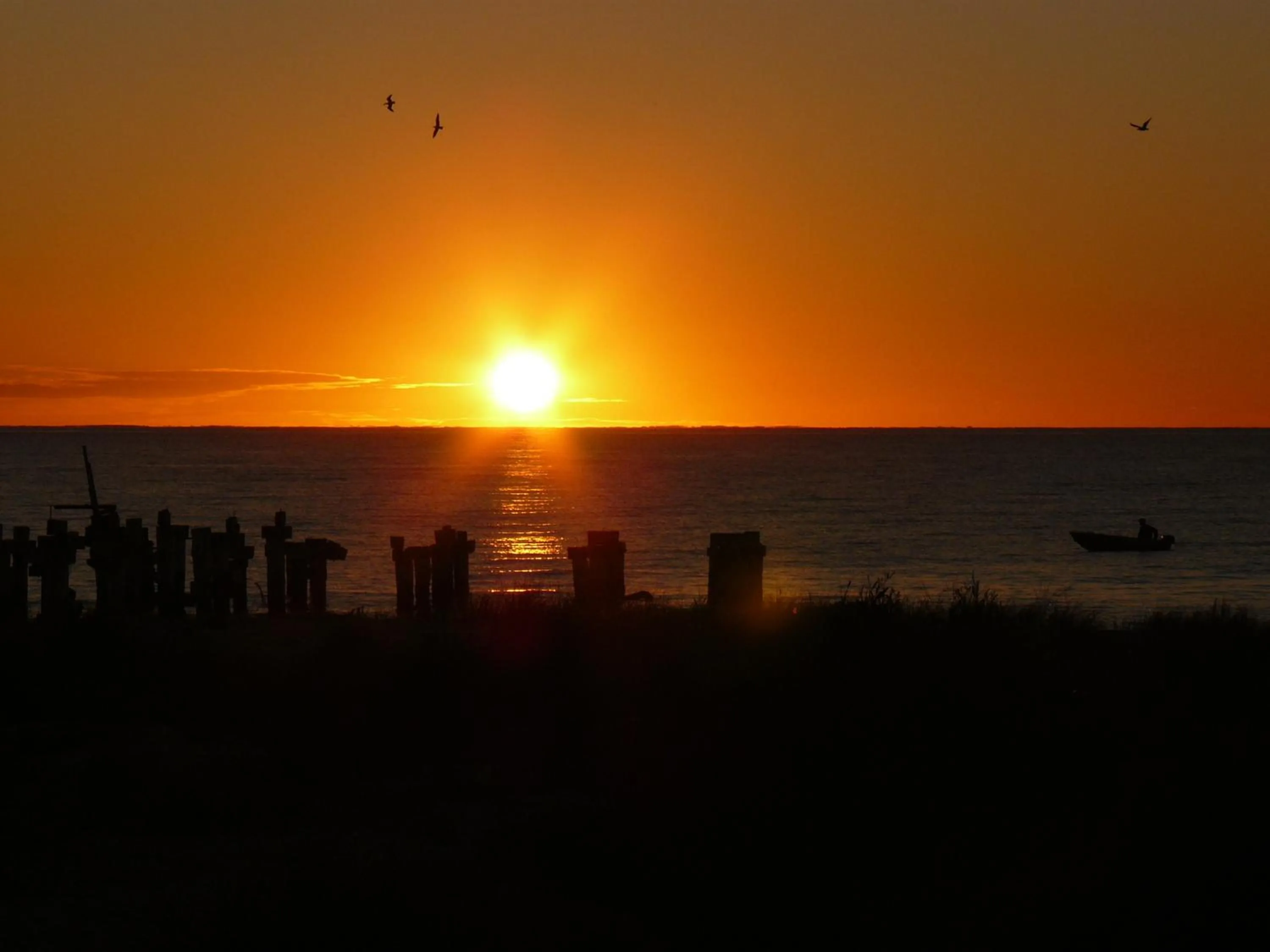 Natural landscape in Jurien Bay Tourist Park