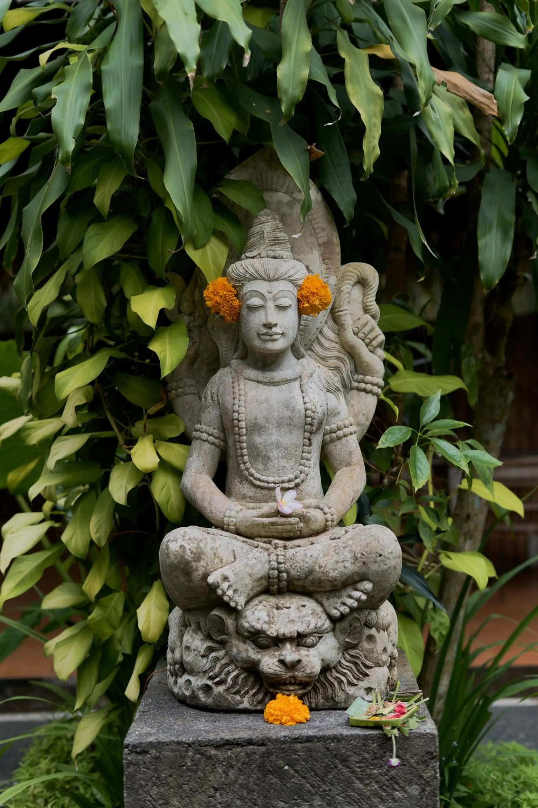 Sama's Cottages and Villas