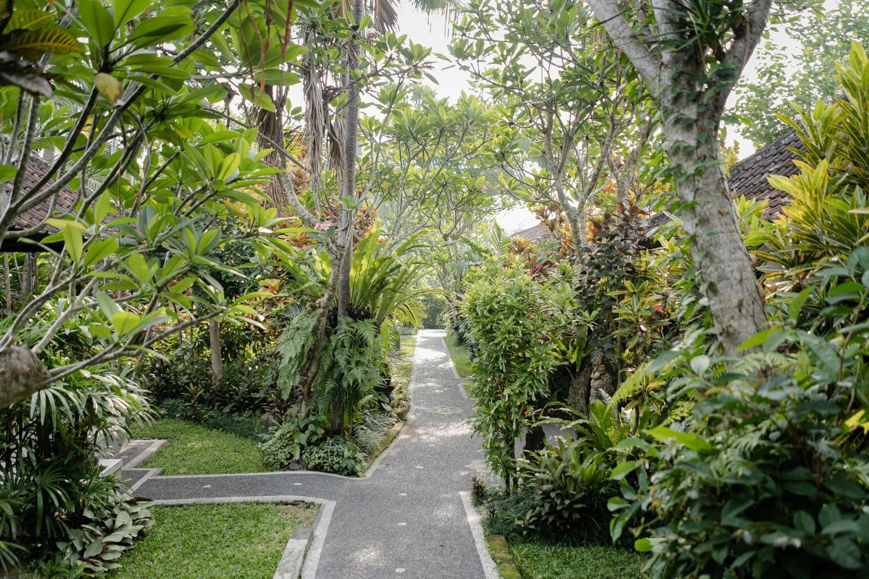 Garden in Sama's Cottages and Villas
