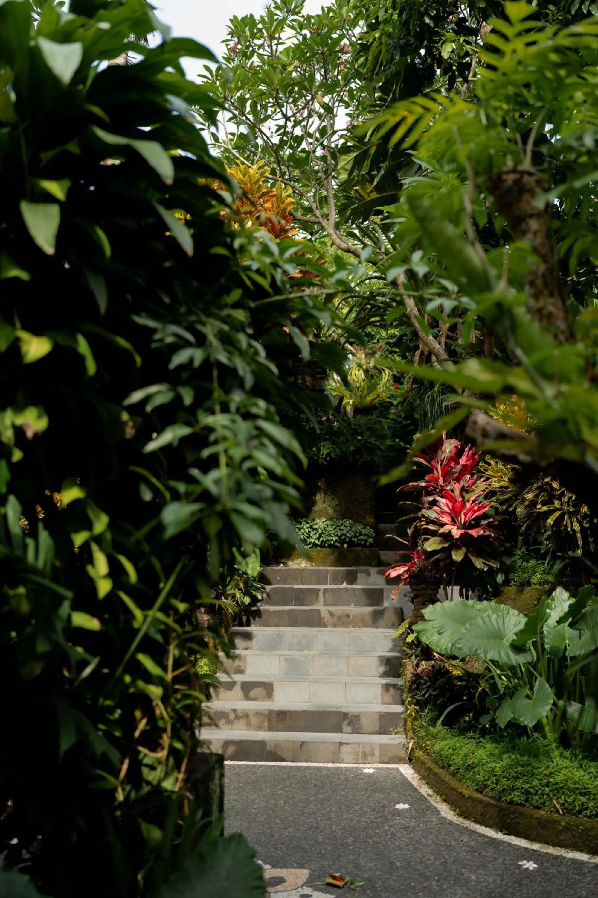 Natural landscape in Sama's Cottages and Villas