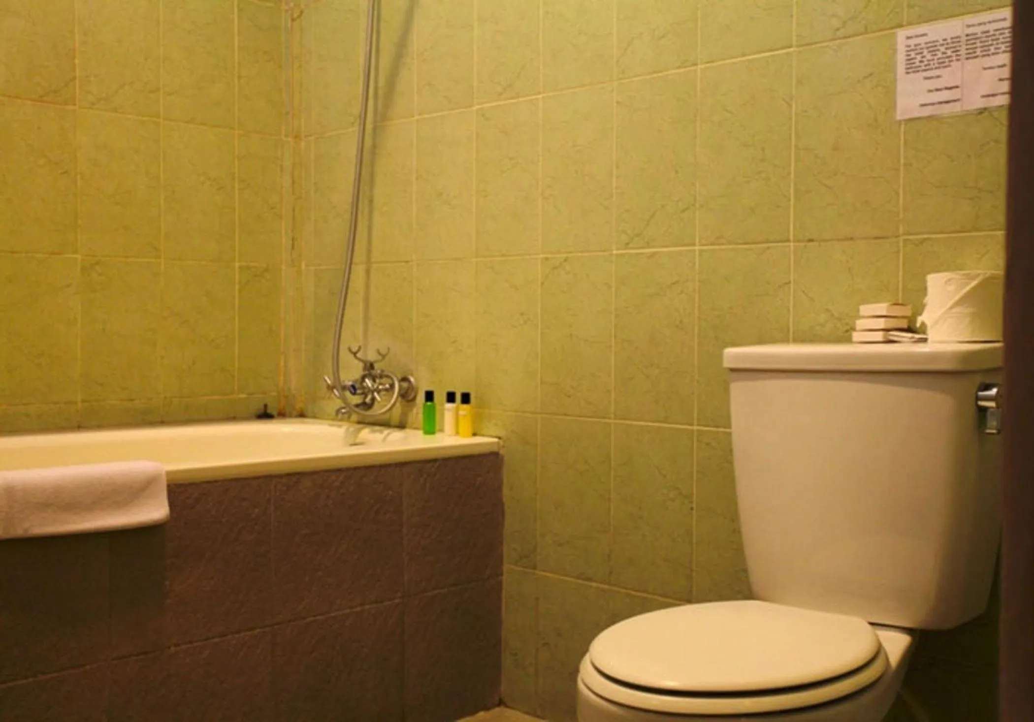 Shower in Niramaya Villa