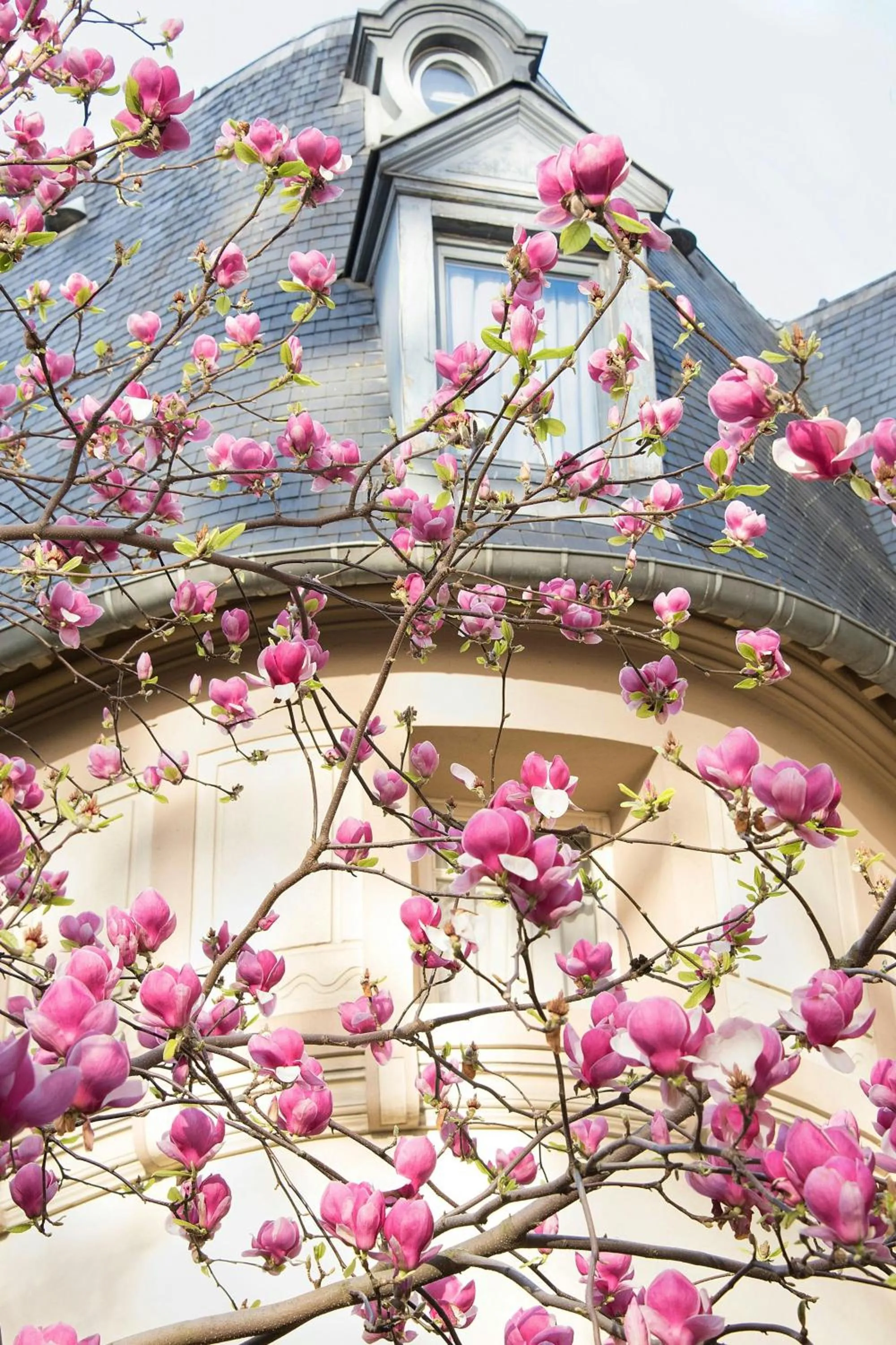 Other in Renaissance Paris Nobel Tour Eiffel Hotel