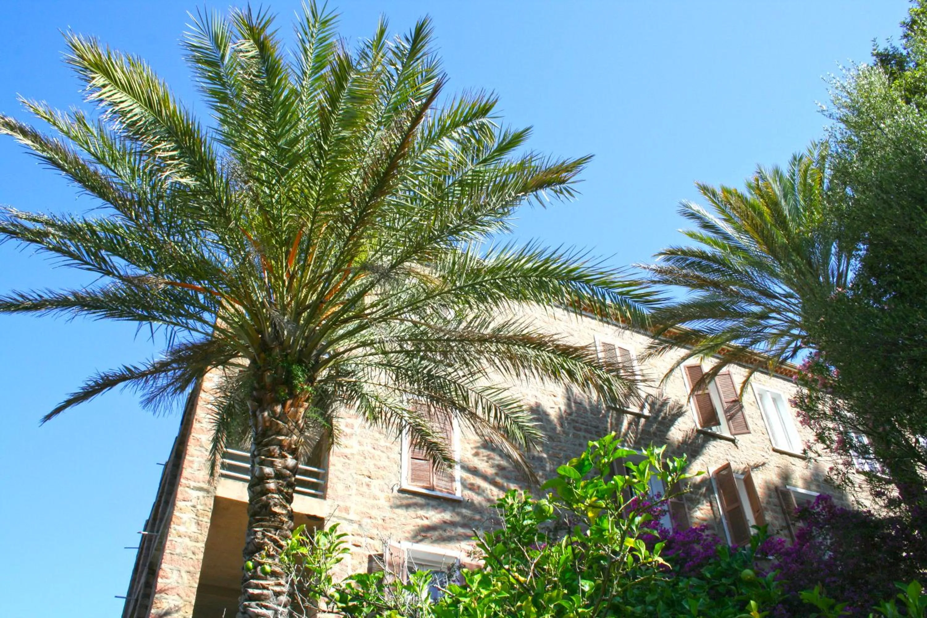 Hôtel Colombo- Porto Corse