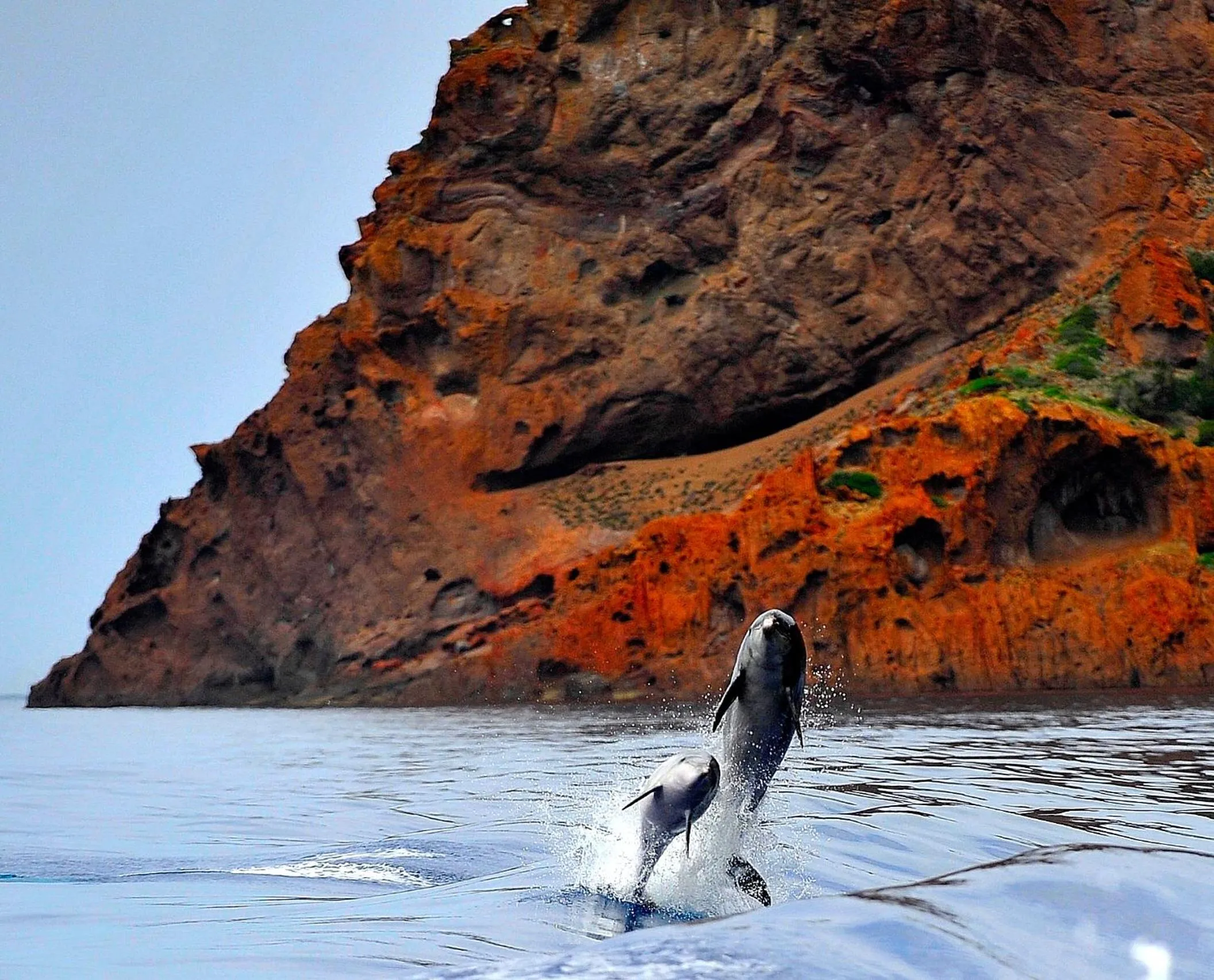 Hôtel Colombo- Porto Corse
