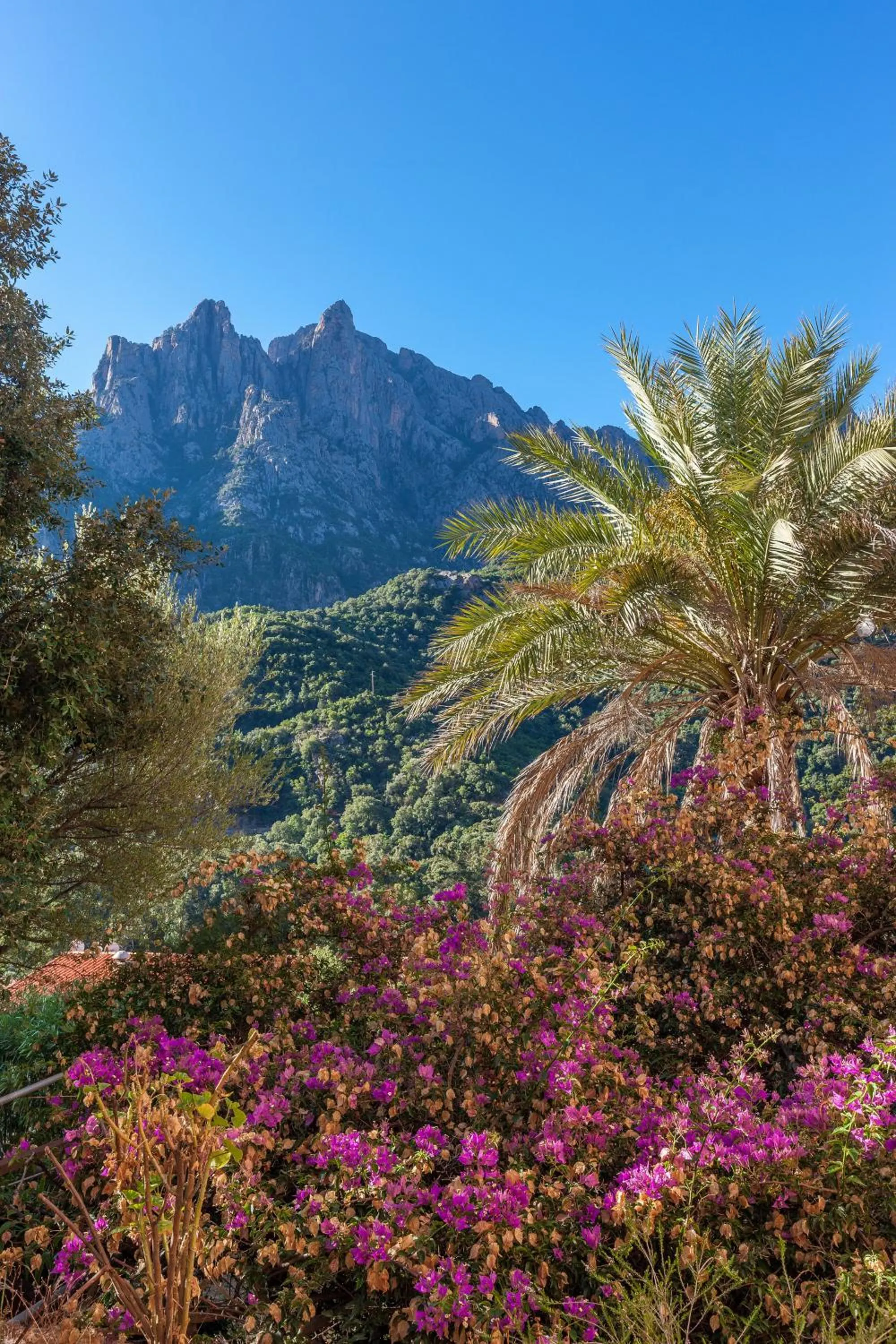 Mountain view in Hôtel Colombo- Porto Corse