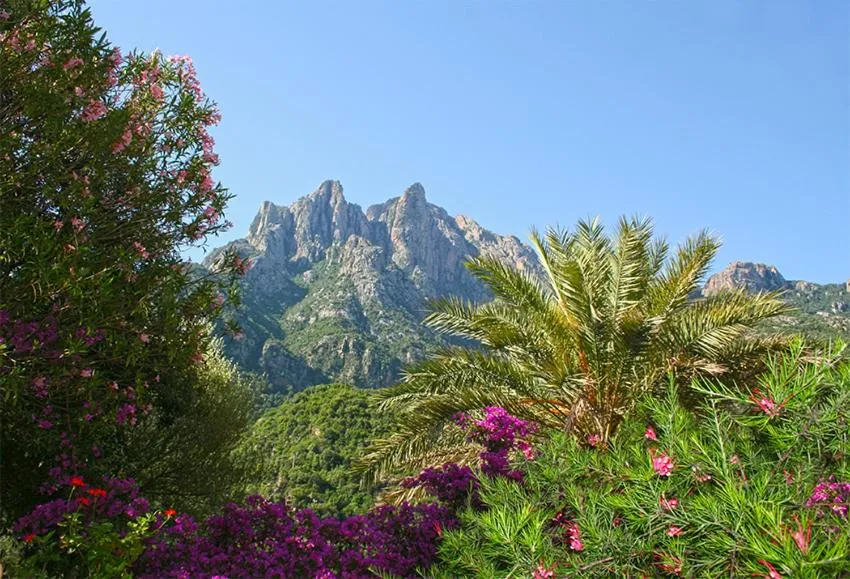 View (from property/room) in Hôtel Colombo- Porto Corse