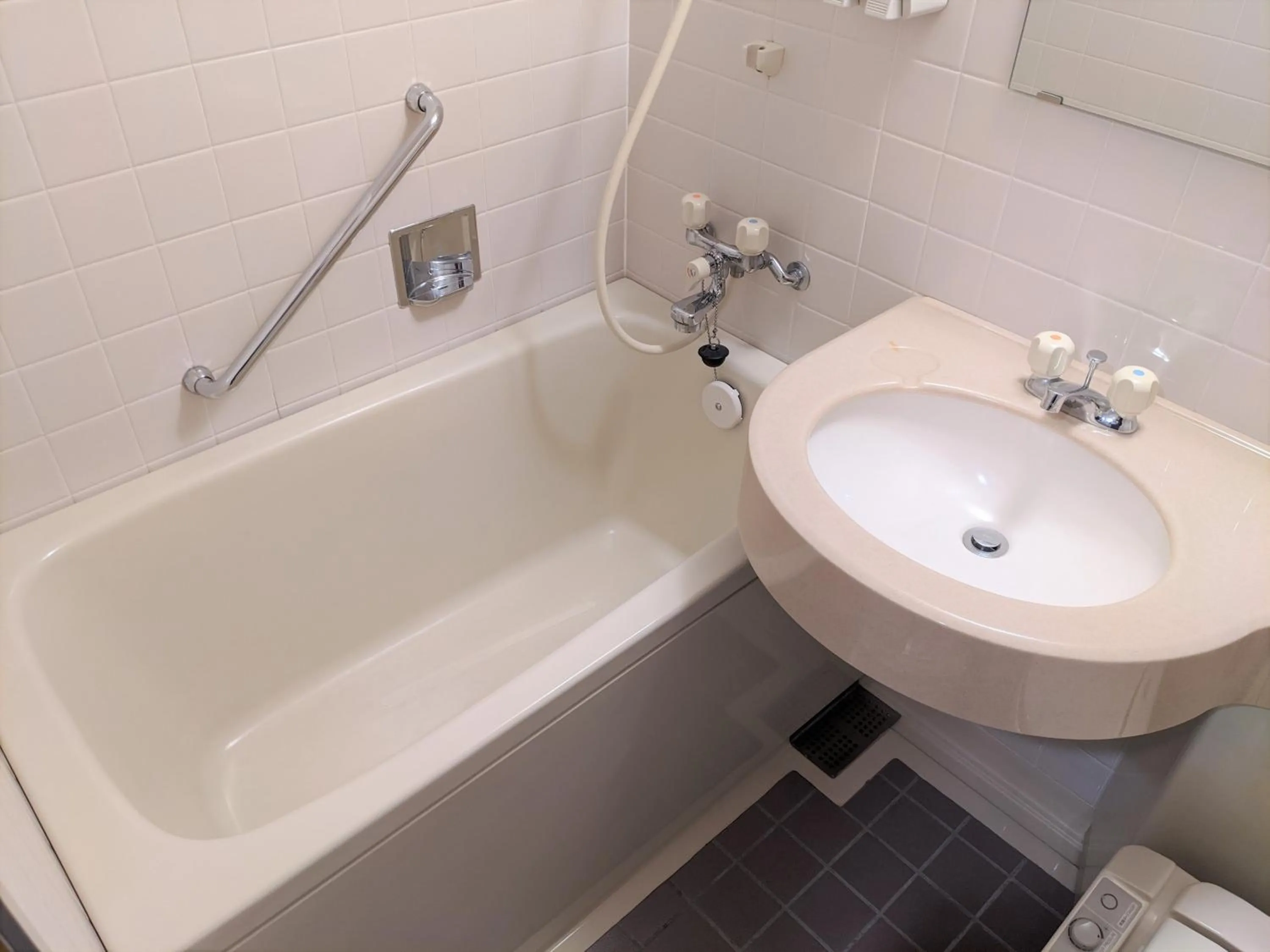 Bathroom in Toyama Jiyukan