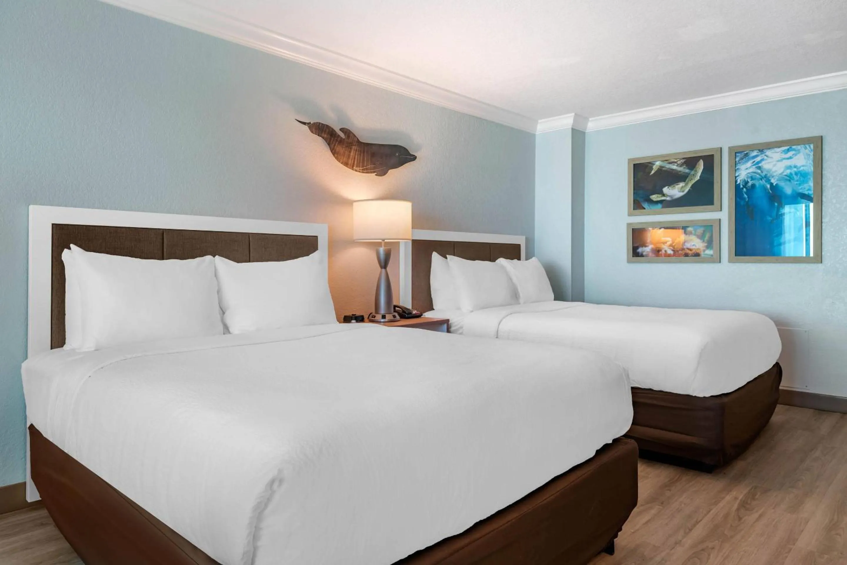 Bedroom, Bed in Dolphin Sands Clearwater Beach, an Ascend Collection Hotel