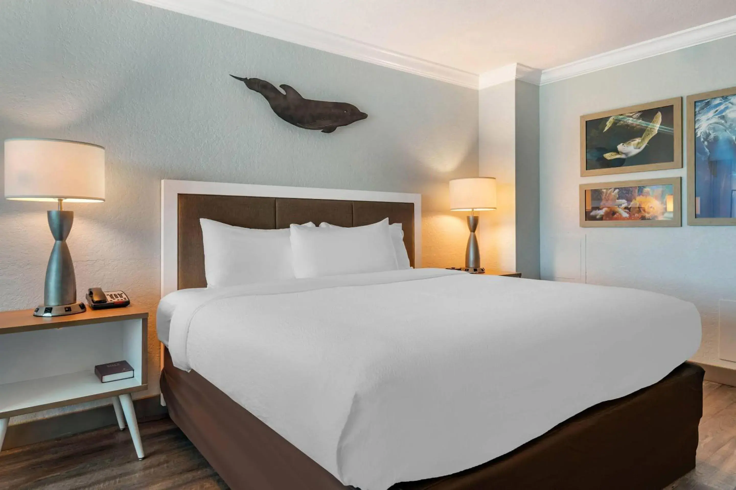 King Room with Partial Ocean View - Non-Smoking in Dolphin Sands Clearwater Beach, an Ascend Collection Hotel King Room with Partial Ocean View - Non-Smoking in Dolphin Sands Clearwater Beach, an Ascend Collection Hotel