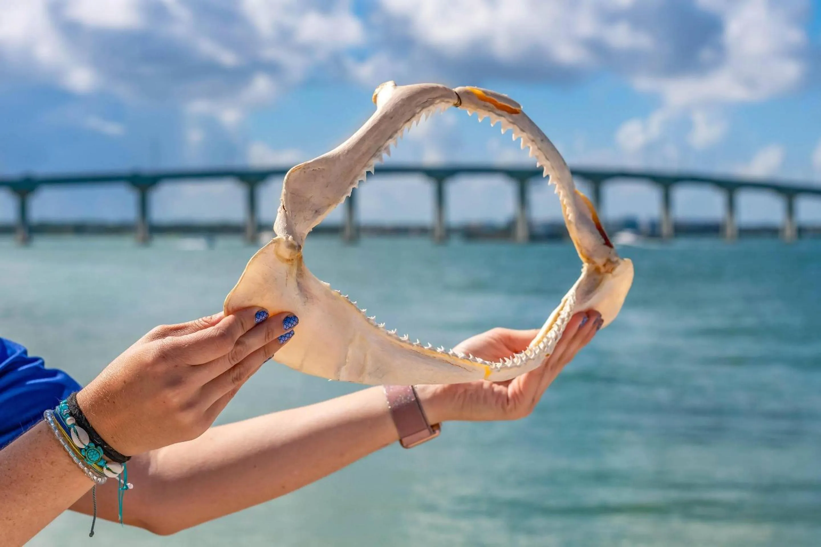 Other in Dolphin Sands Clearwater Beach, an Ascend Collection Hotel