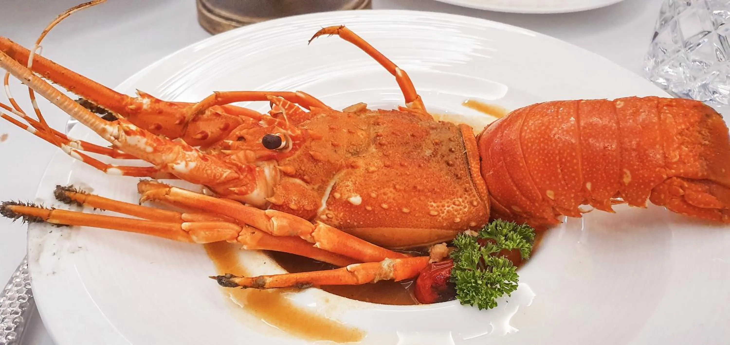 Food in Paradise Grand Cruise - Lan Ha Bay