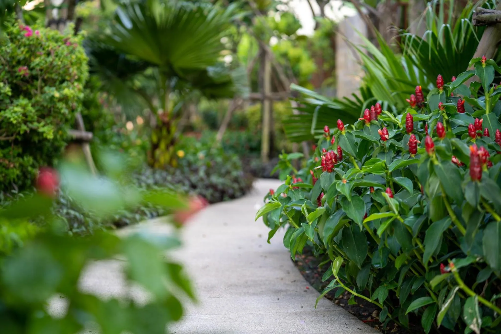 Natural landscape in The Five Villas & Resort Quangnam - Danang