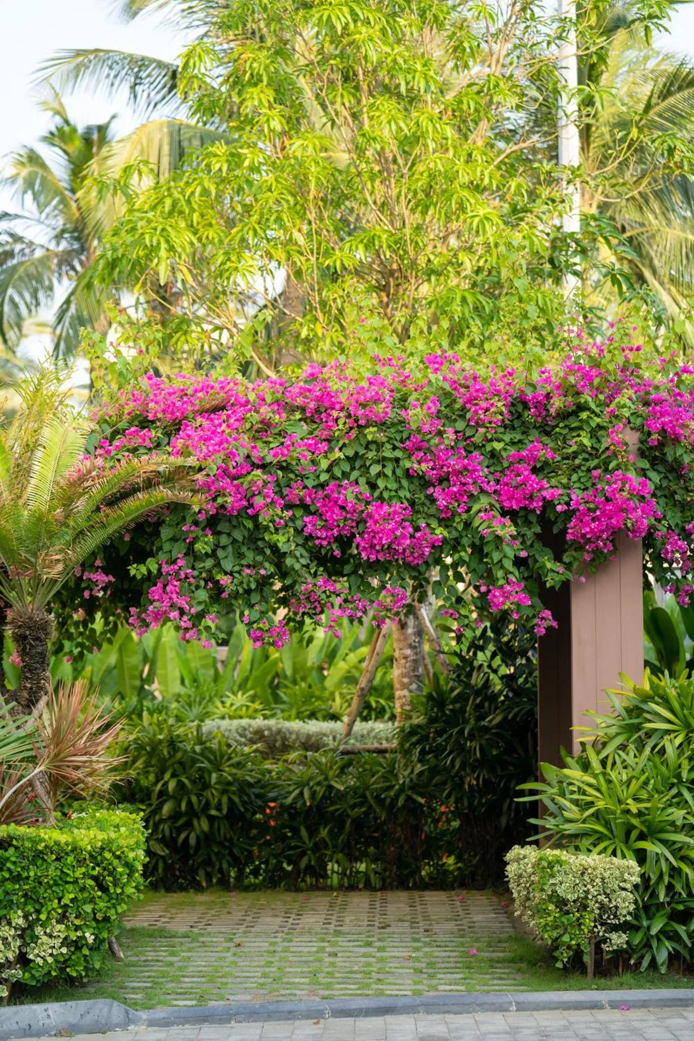 Natural landscape in The Five Villas & Resort Quangnam - Danang