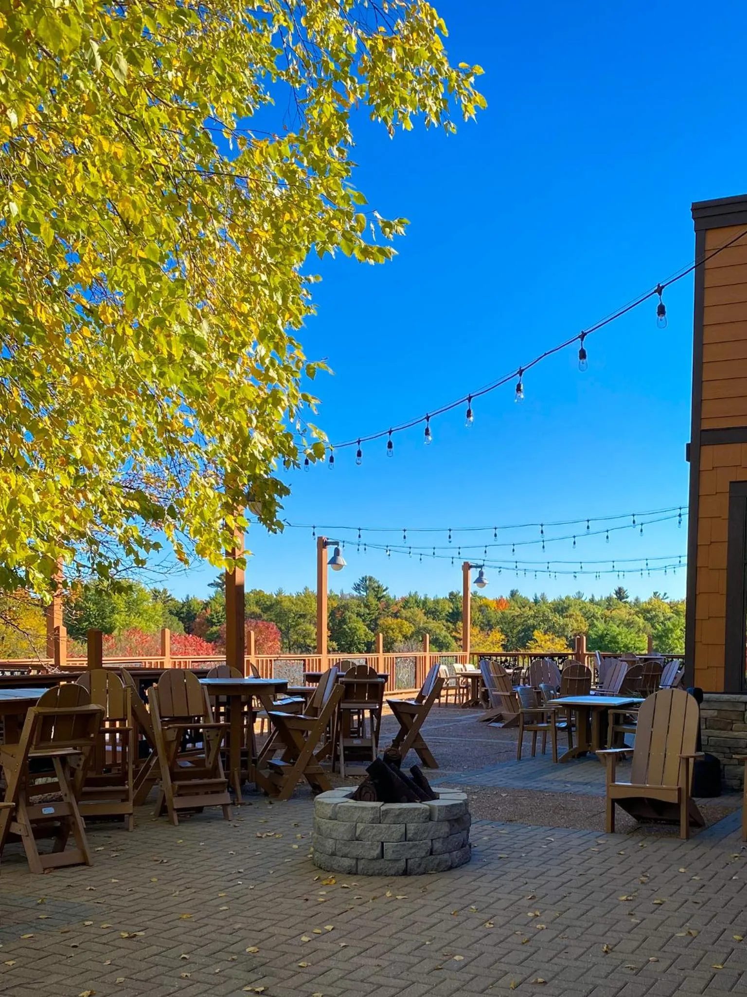 Golfcourse in Chula Vista Resort, Trademark Collection by Wyndham