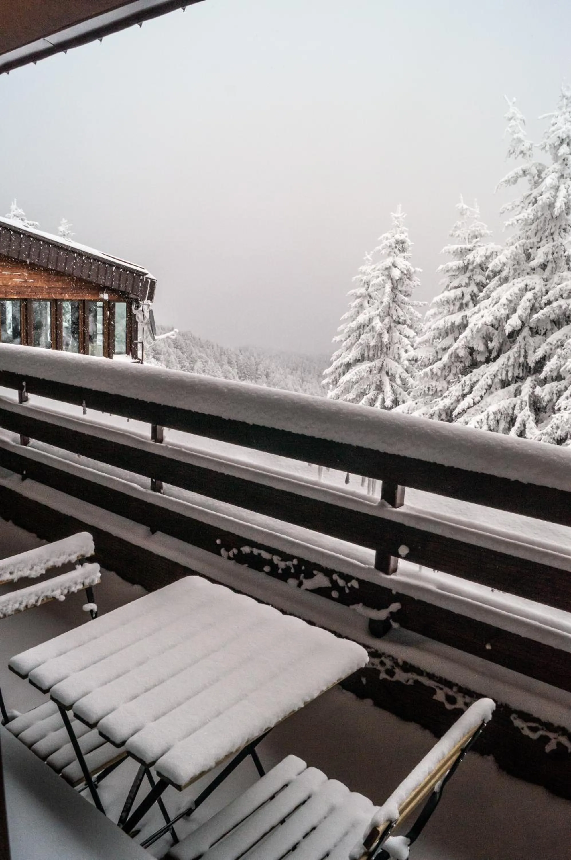 Winter in Hotel and Relax Moreni