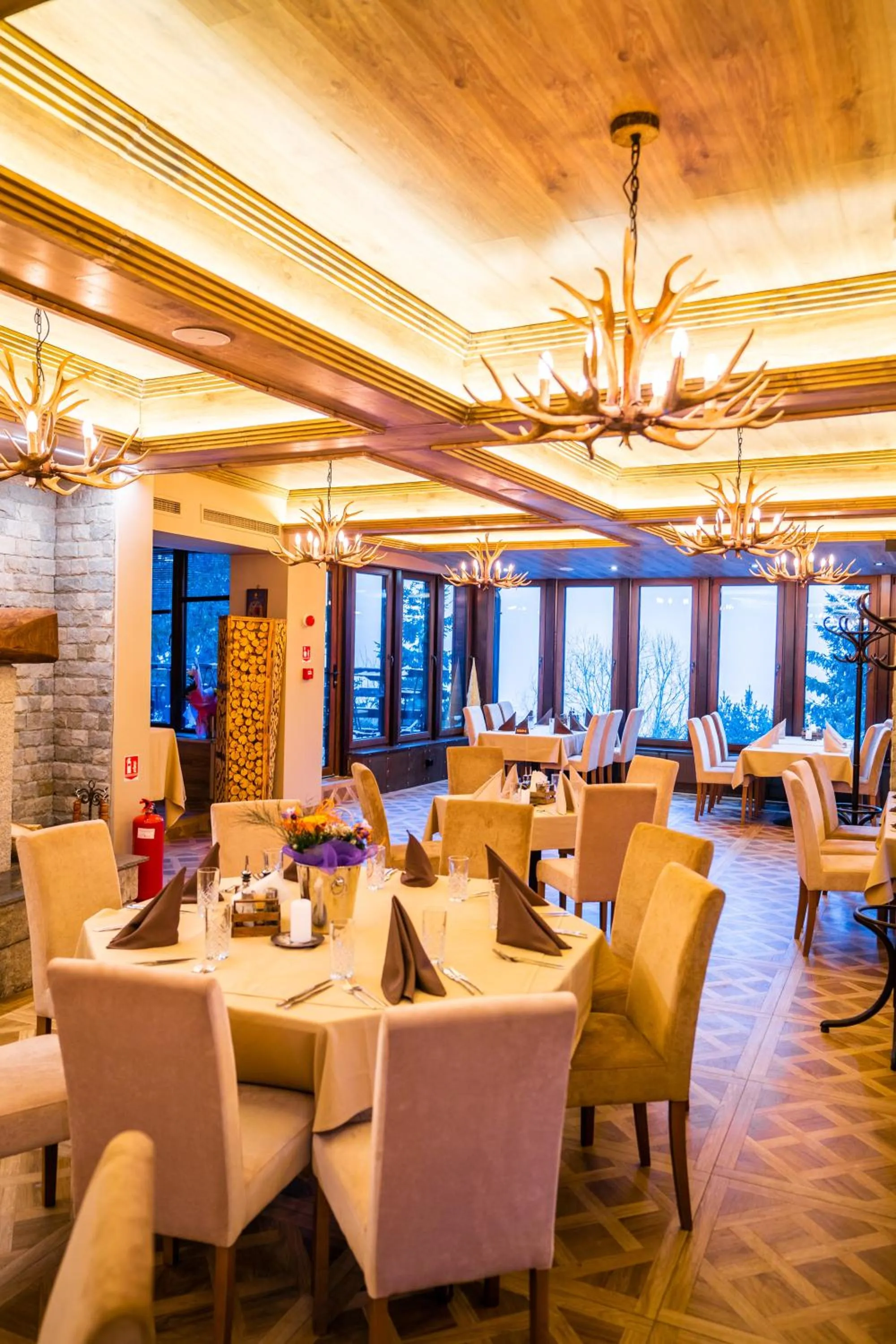 Restaurant/places to eat in Hotel and Relax Moreni