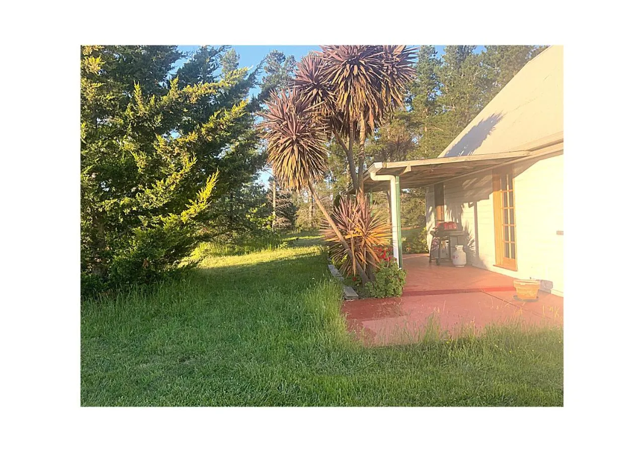 BBQ facilities in Alexanders Of Richmond