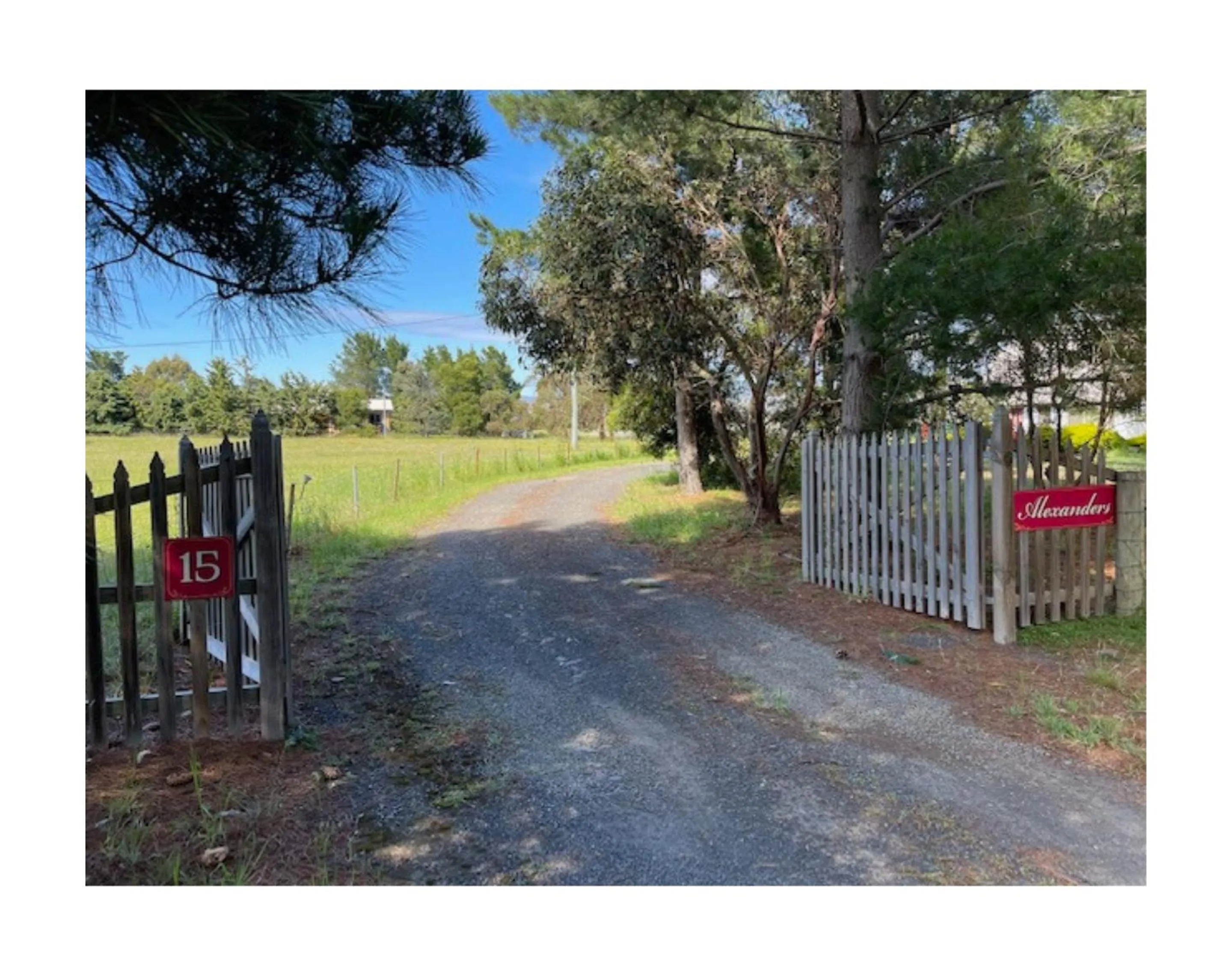 Facade/entrance in Alexanders Of Richmond