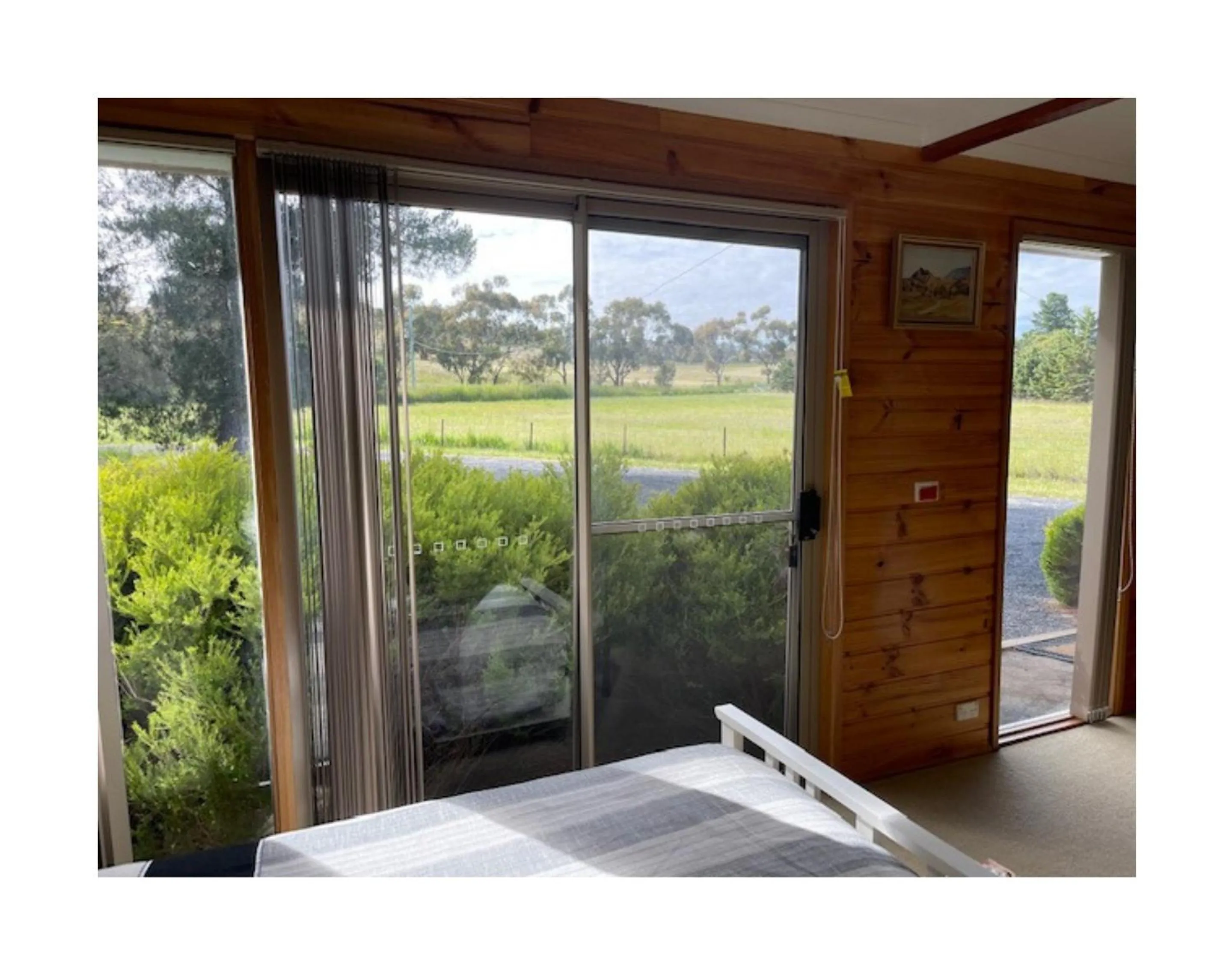 Natural landscape in Alexanders Of Richmond