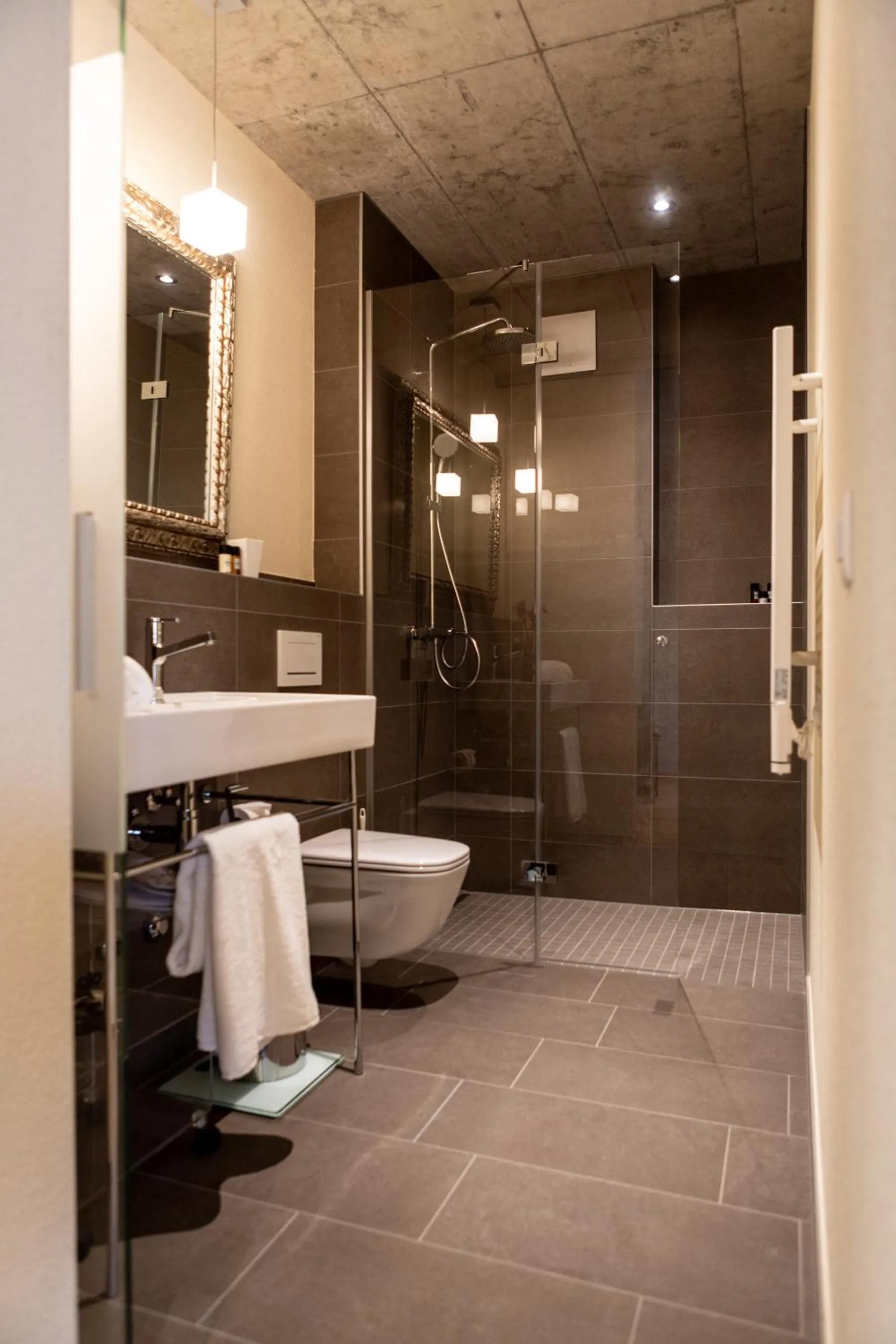 Shower in Hotel de l’Ours Preles