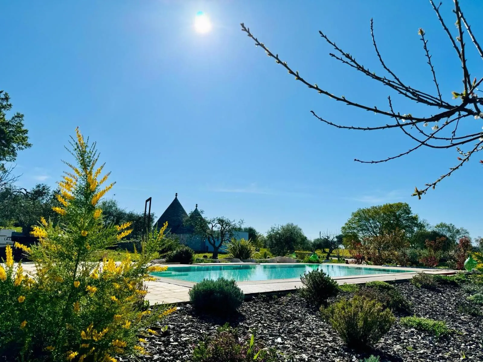 Swimming pool in DIMORA RITUNNO