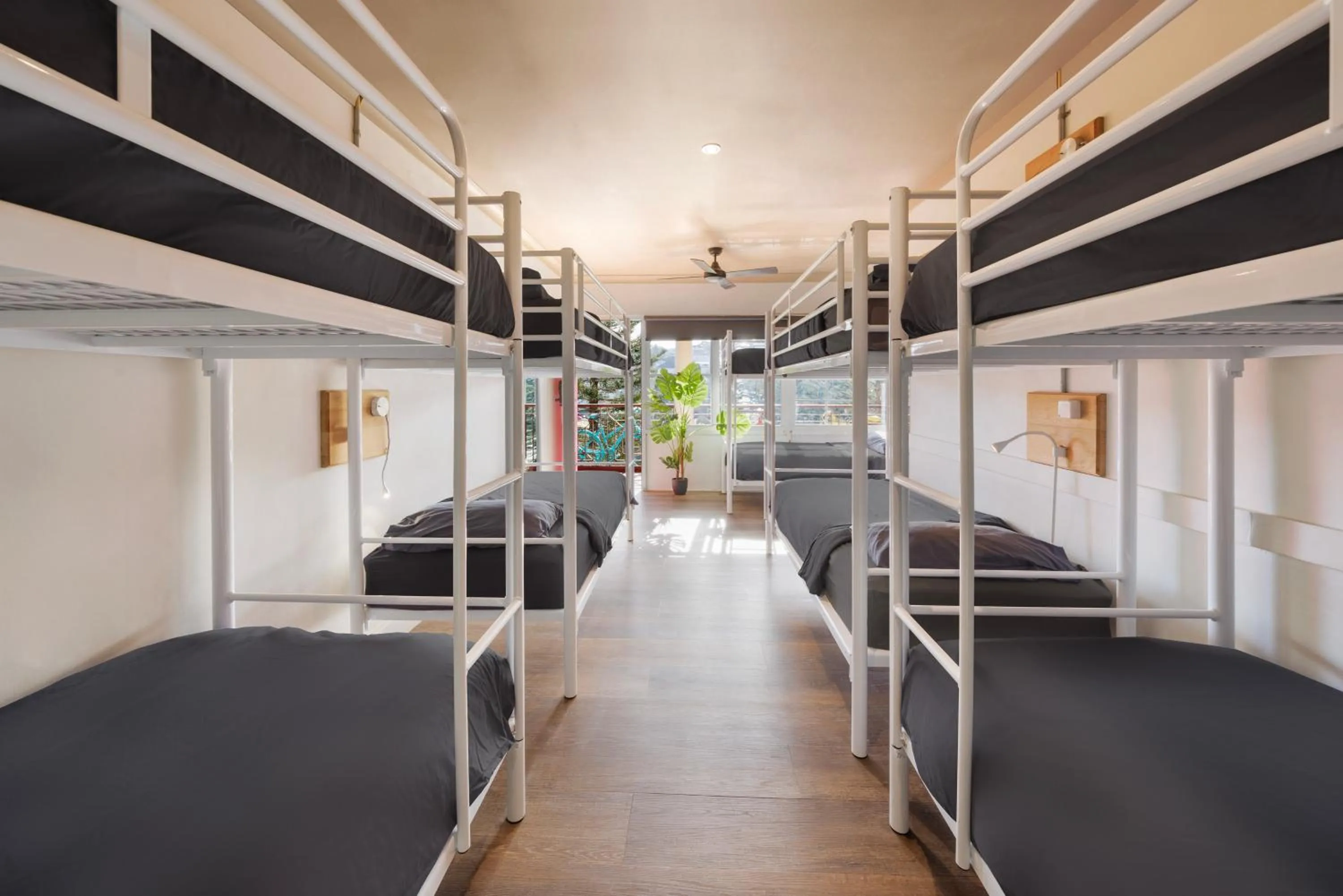 Bed in 10 Bed Mixed Dorm with Balcony (ages 18 - 40 years only) in Mad Monkey Hostel Coogee Beach