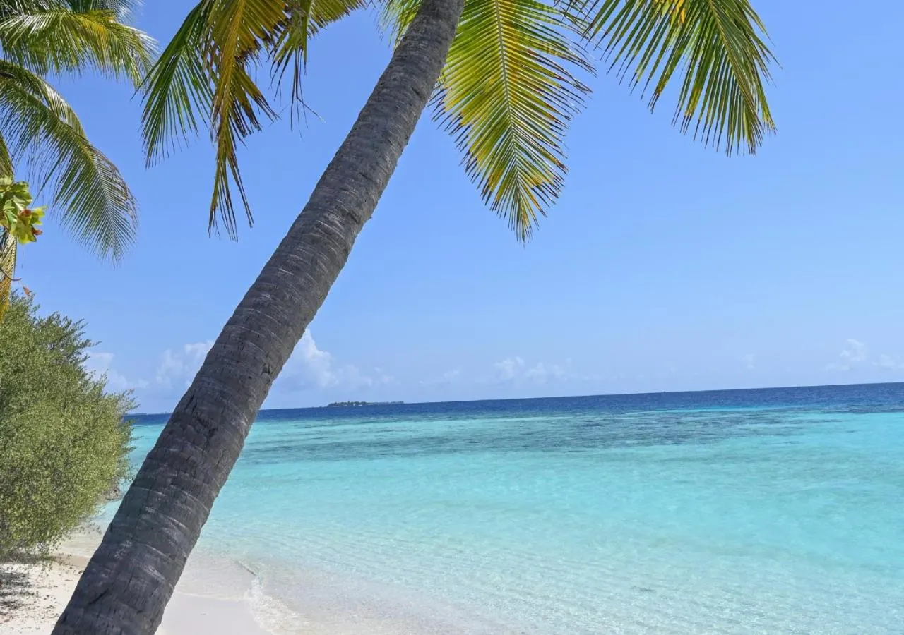 Natural landscape in Seasalter Maldives