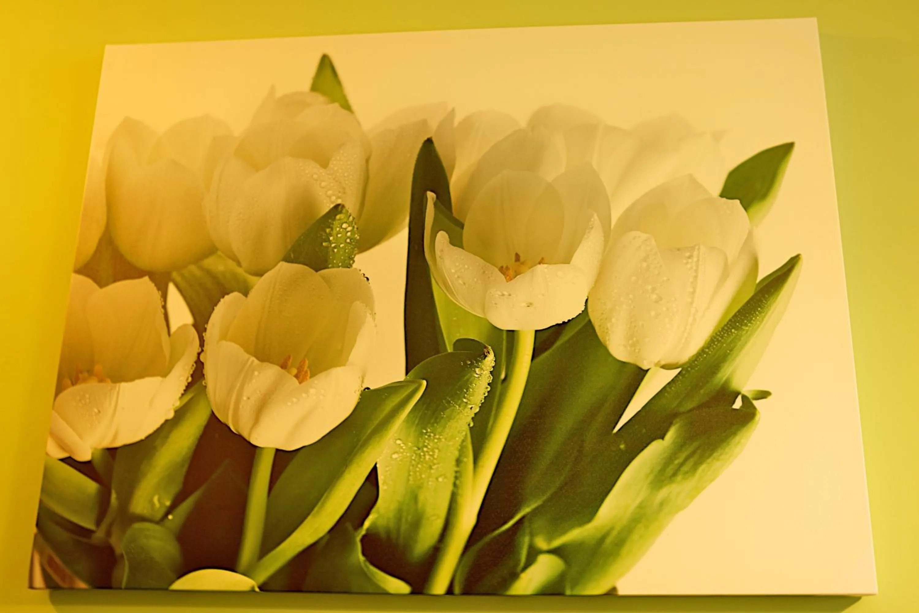 Hotel Neo Międzyrzecz