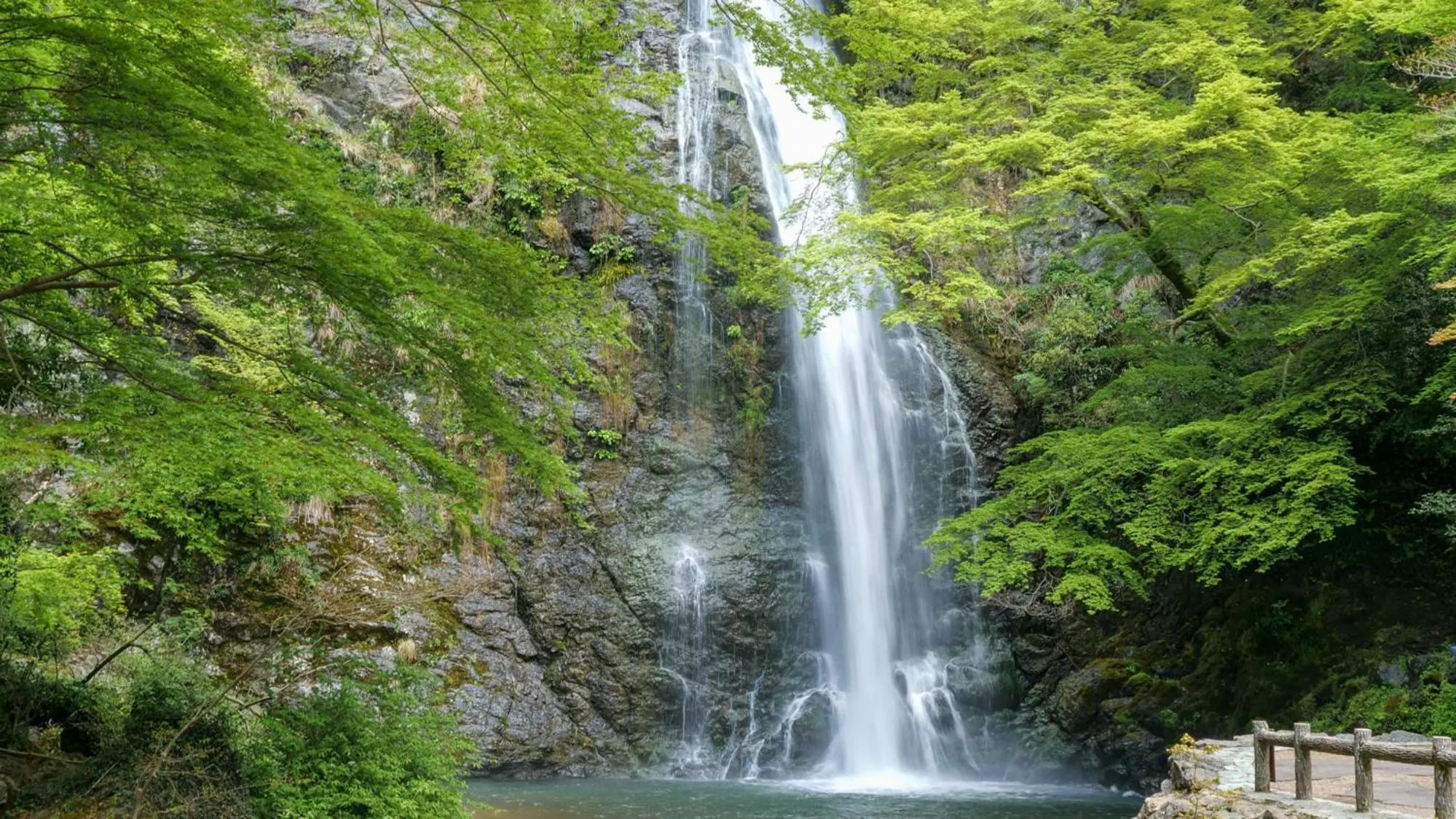Nearby landmark in Toyoko Inn Shin-osaka Higashi-mikuni Ekimae