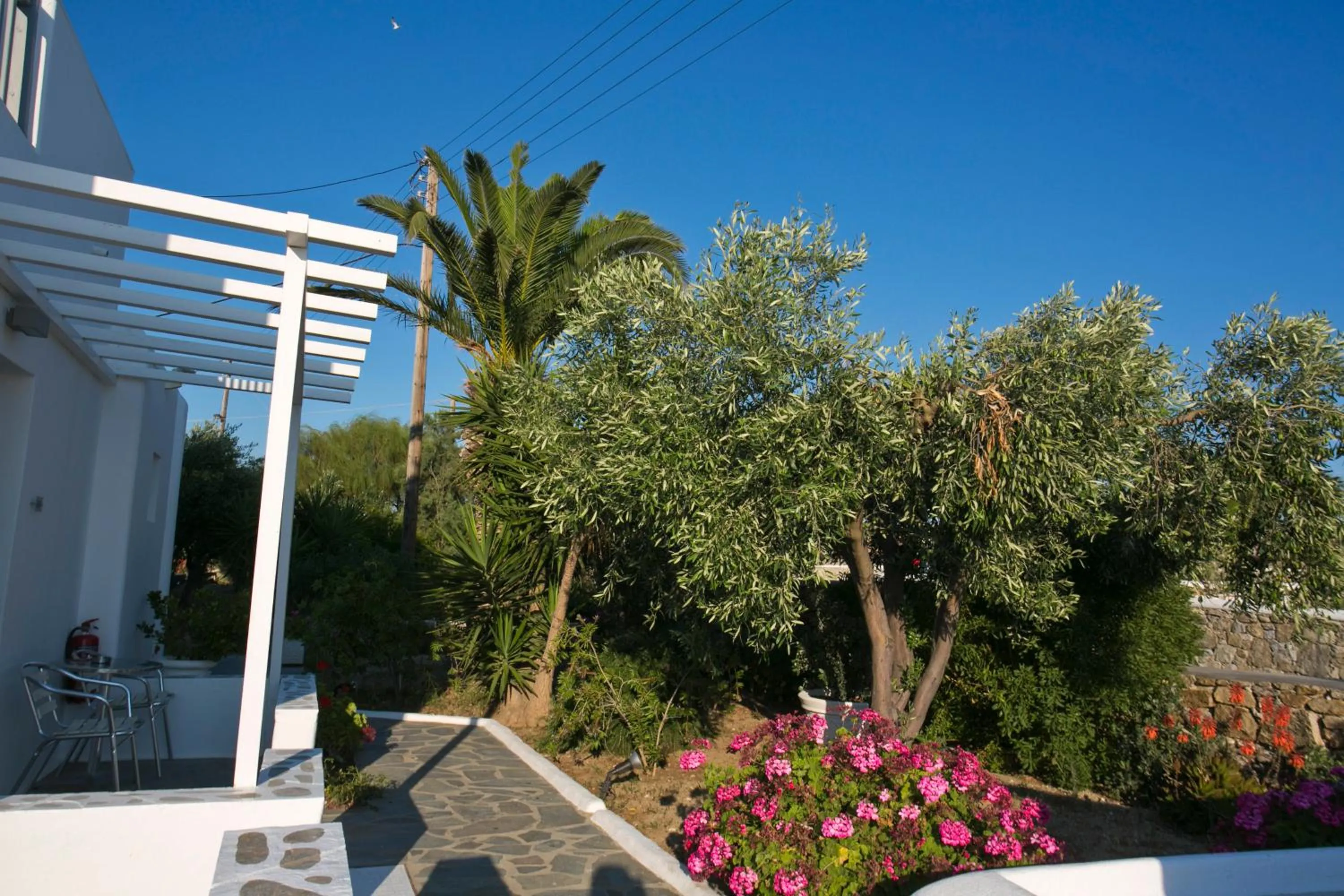 Garden view in Anna-Maria Mykonos Hotel